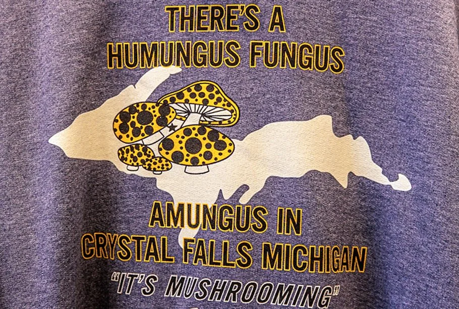 “The Humongous Fungus Among Us” / Feature Documentary