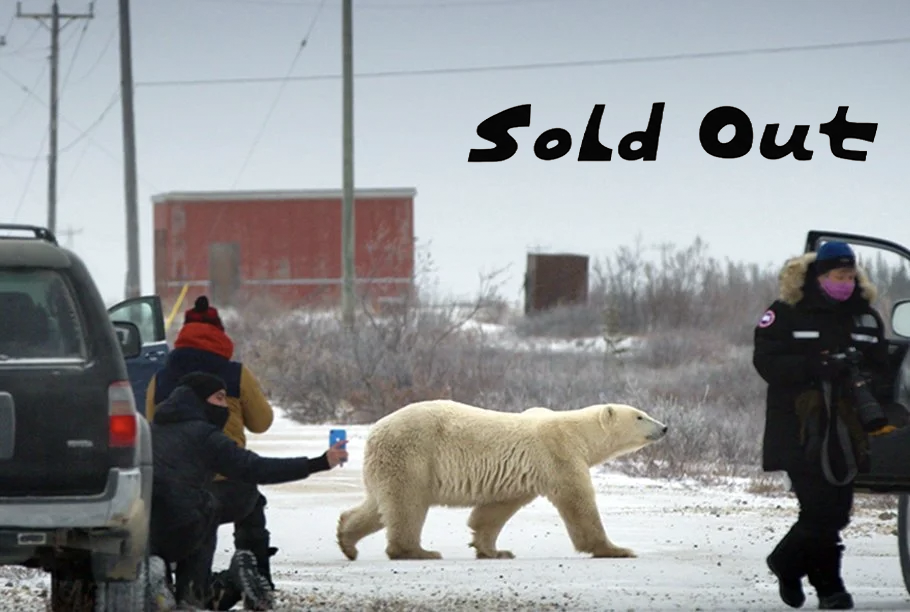 “Nuisance Bear” / Feature Documentary