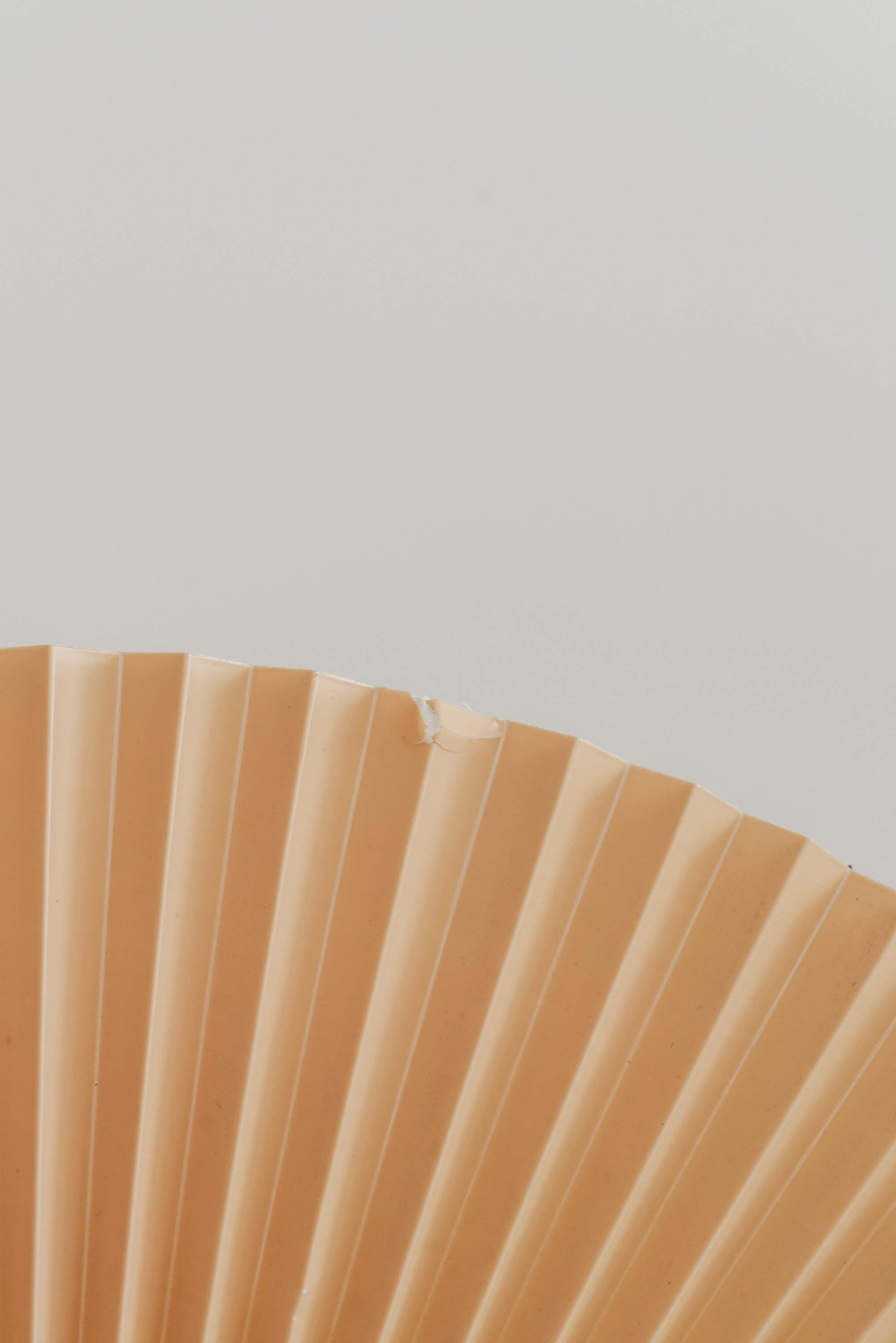 https://i.etsystatic.com/12134943/r/il/c5bedd/6054545215/il_fullxfull.6054545215_848a.jpg