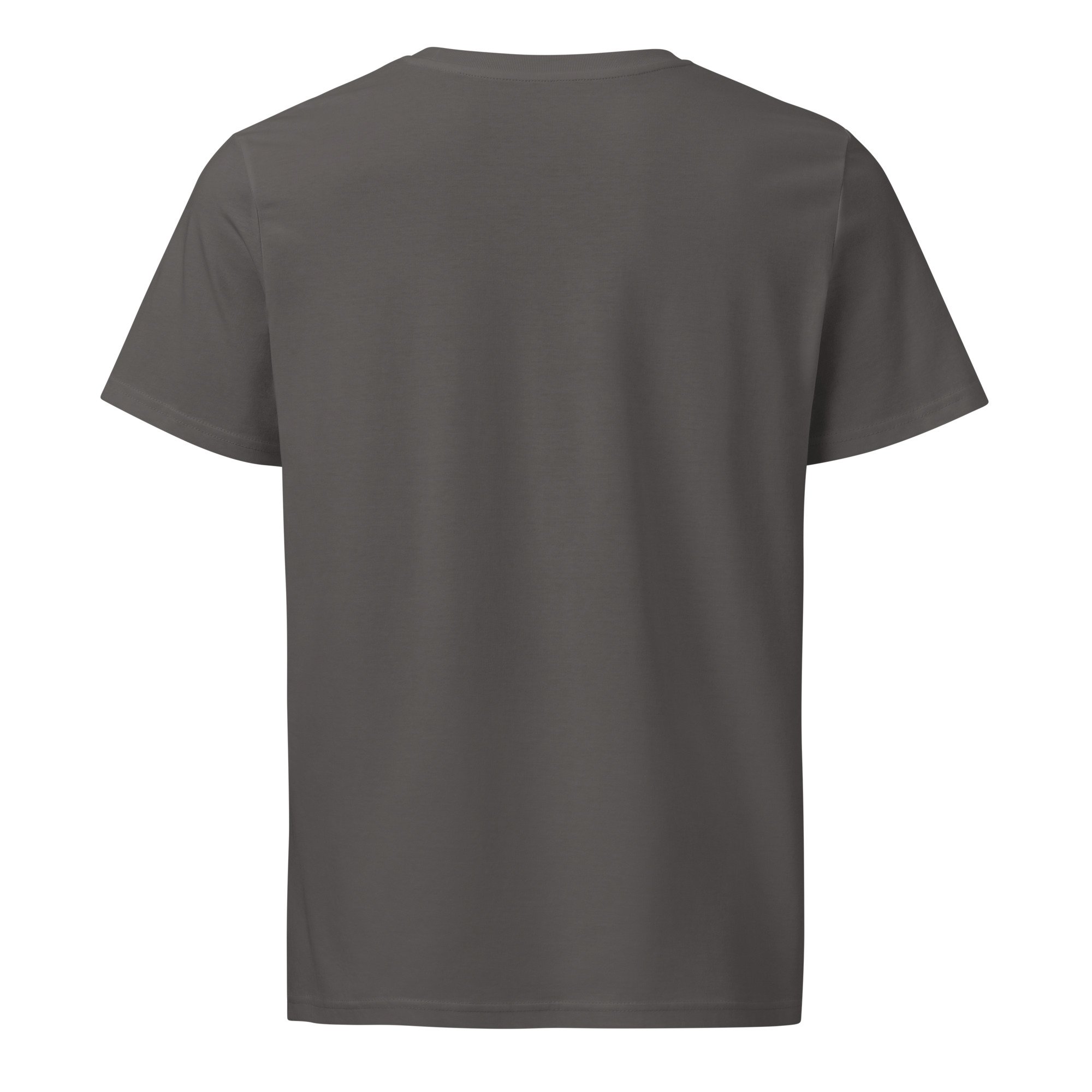 unisex-organic-mid-light-t-shirt-anthracite-back-6819741100ca1.jpg