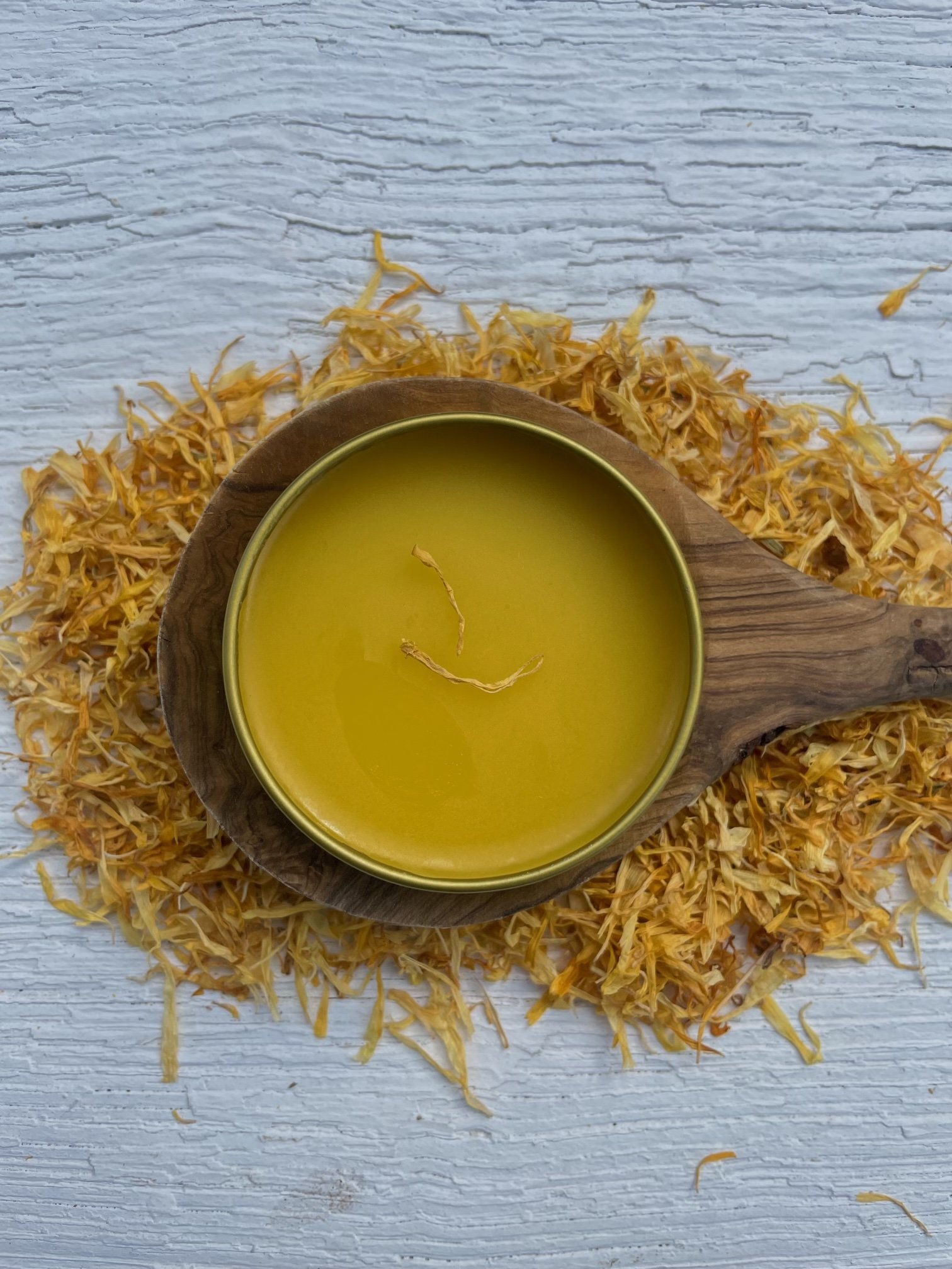 open healing salve 1.4oz.jpg