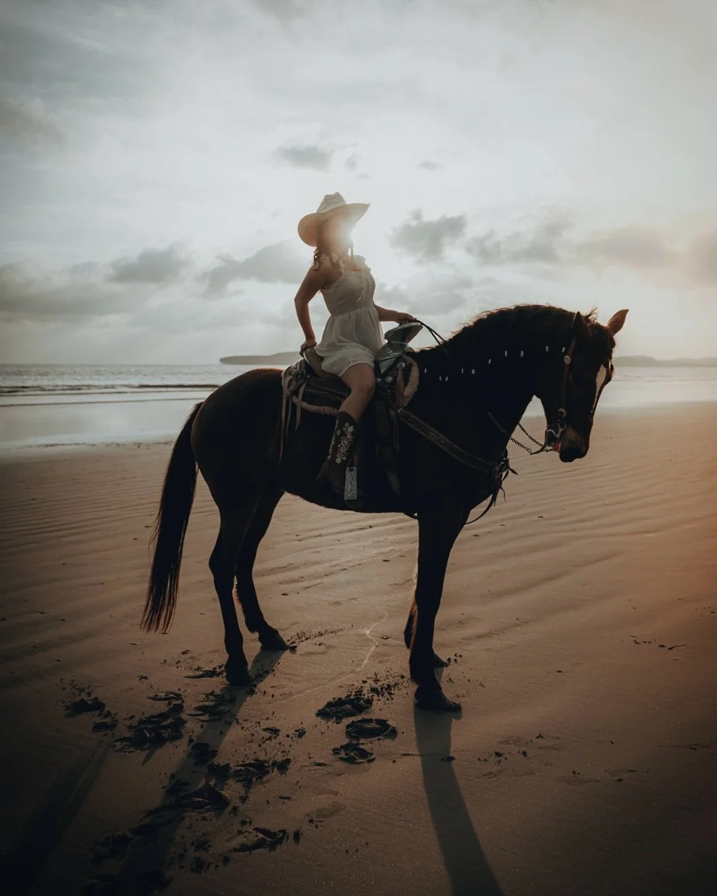 F O G // Scatter Sun Lights