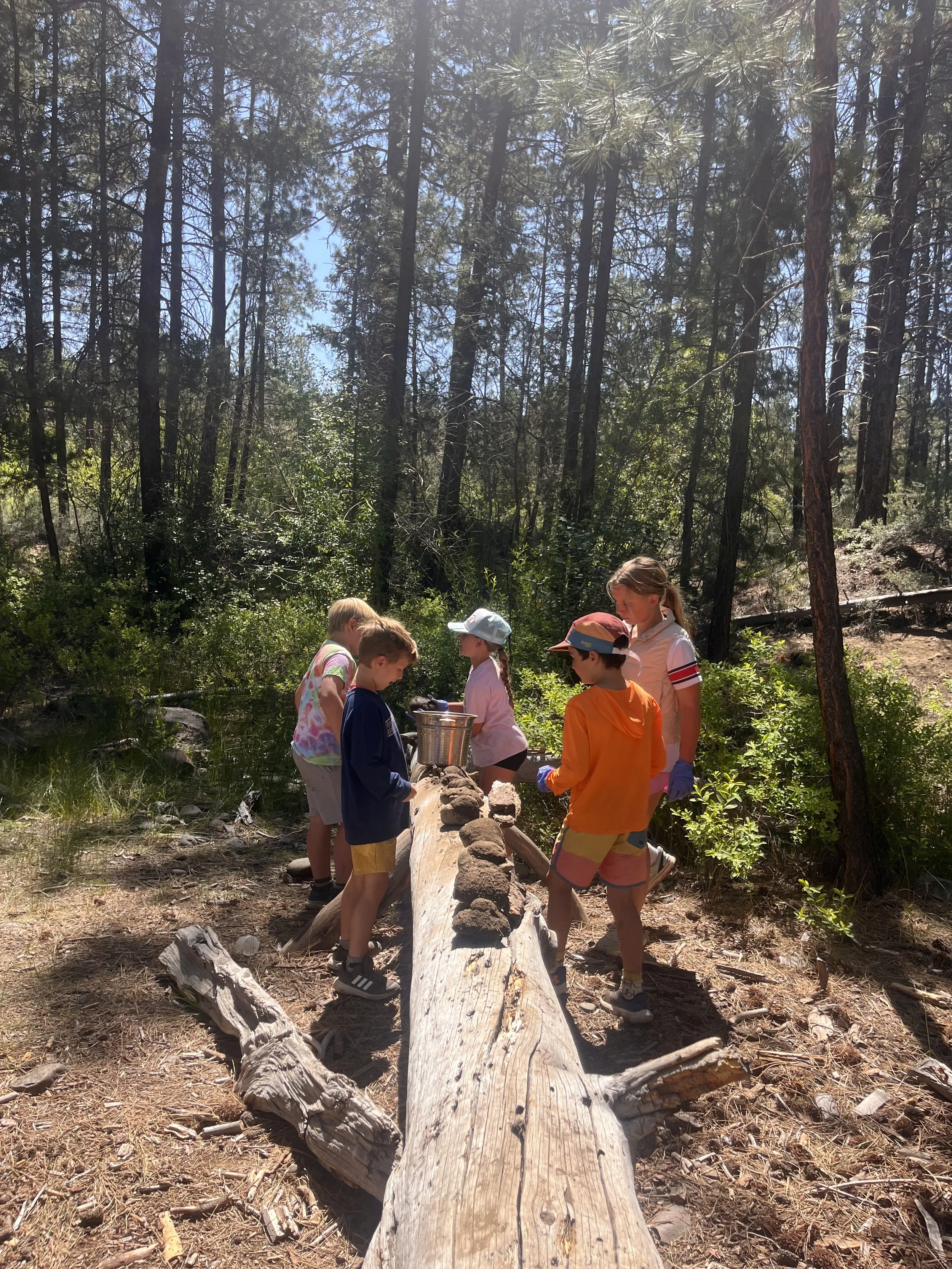 Summer Camp for Confident Kids 2026