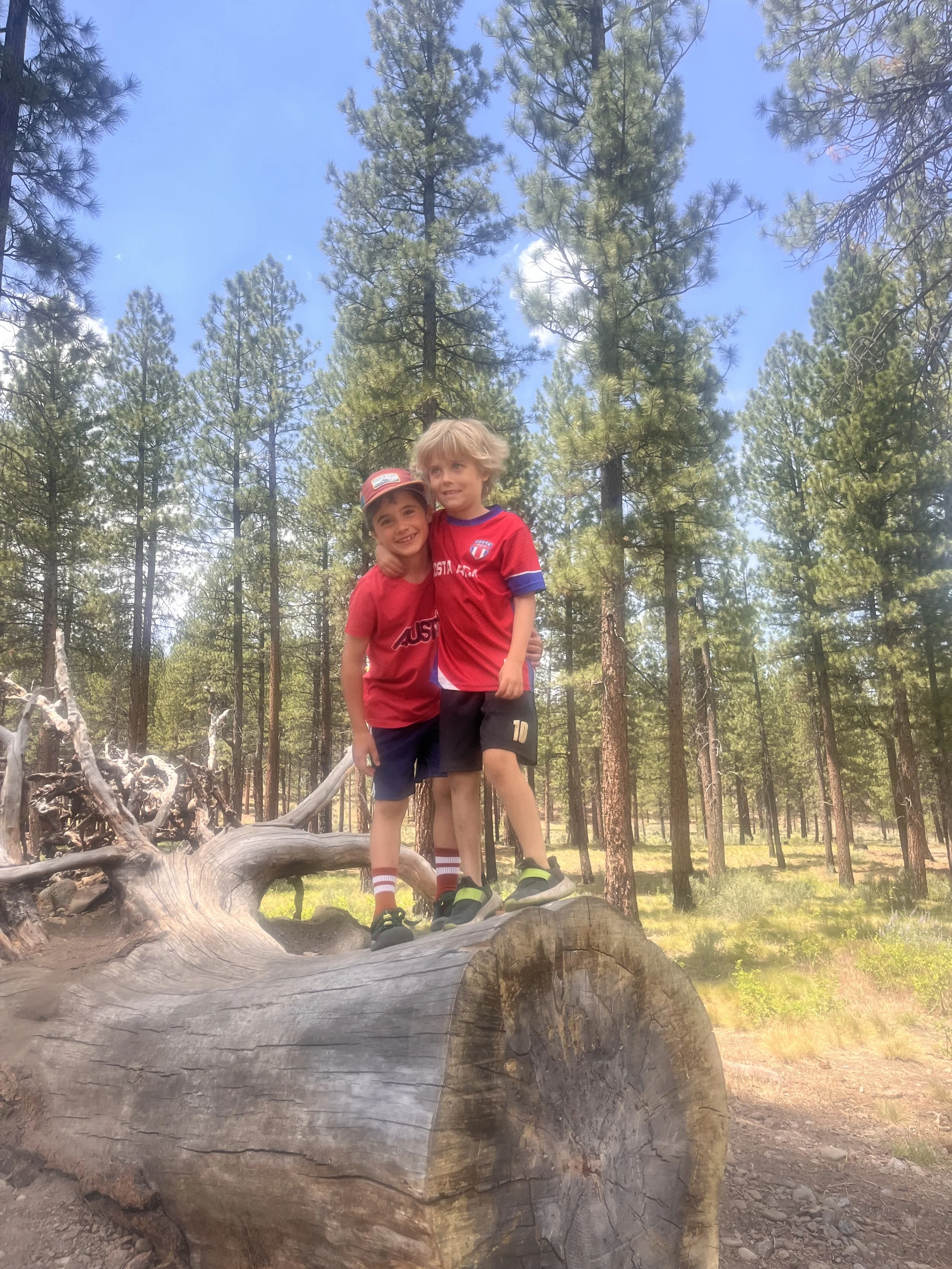 Buddies on a log.jpeg