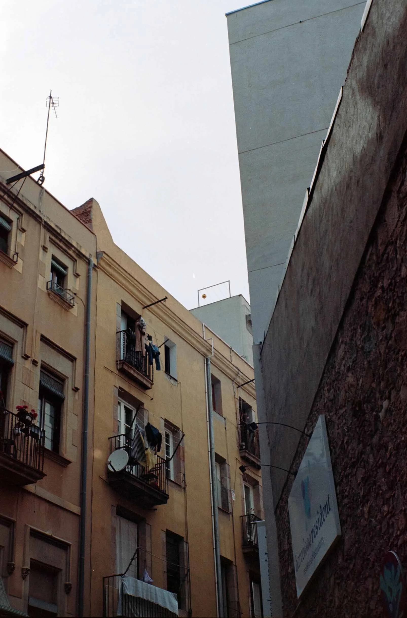 DSC02816.jpg