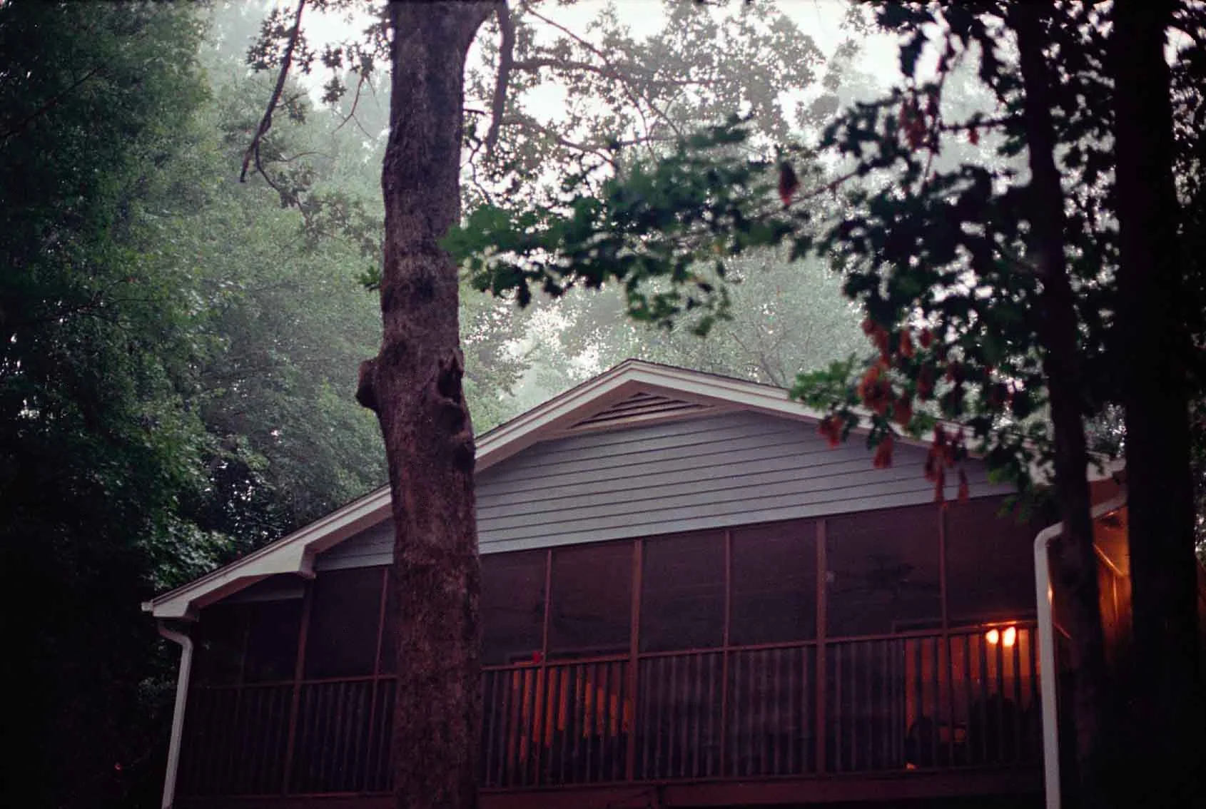 img495.jpg