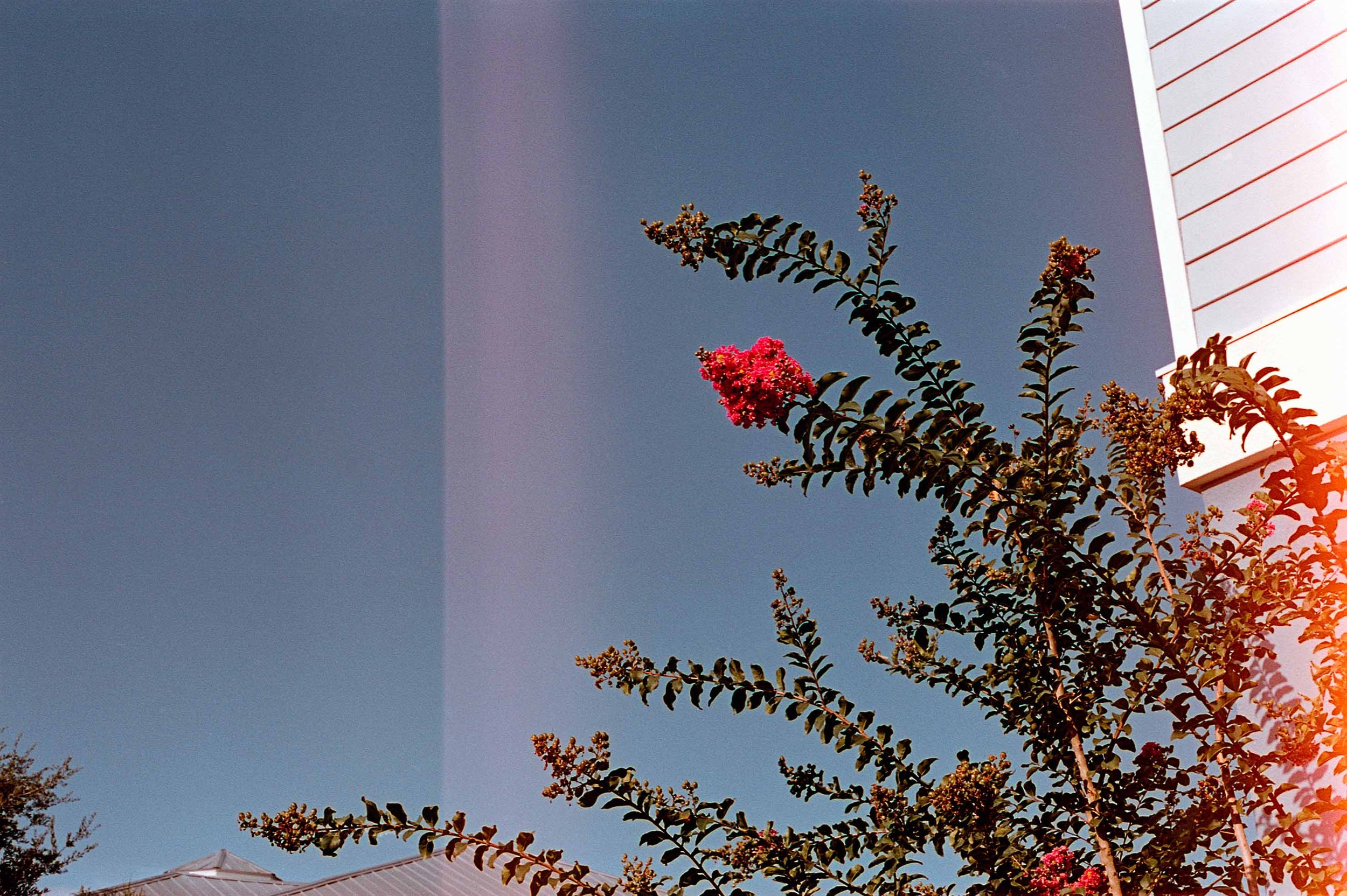 img034.jpg