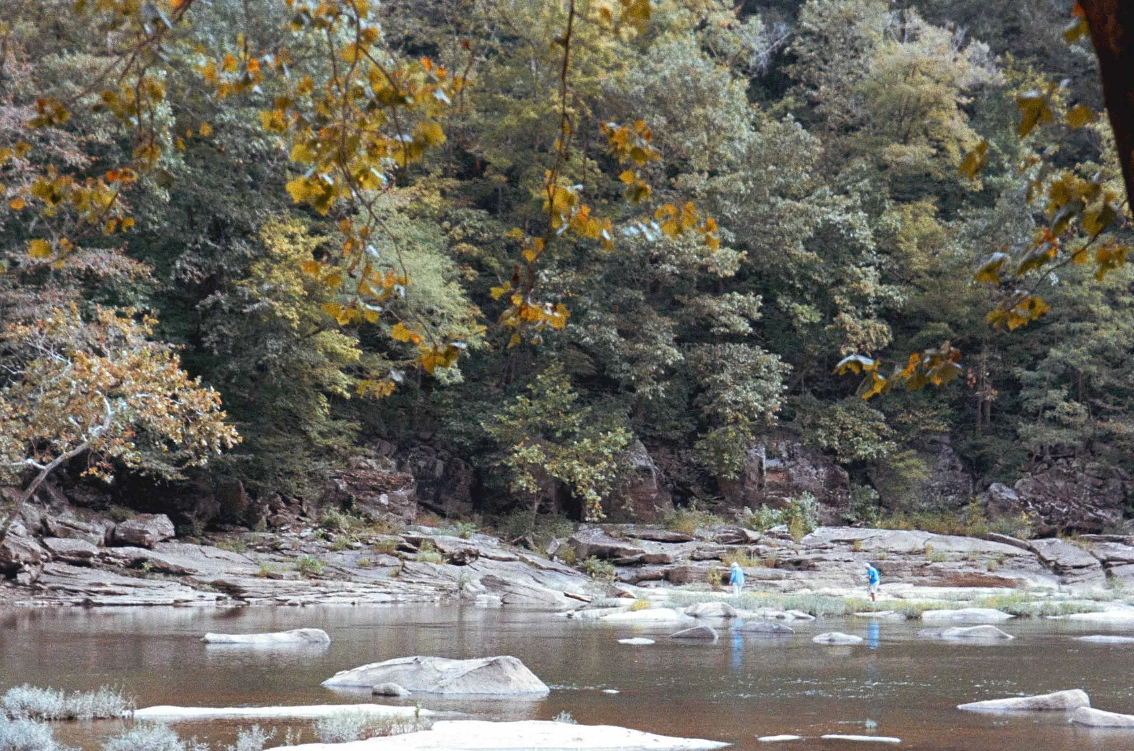 DSC02885.jpg
