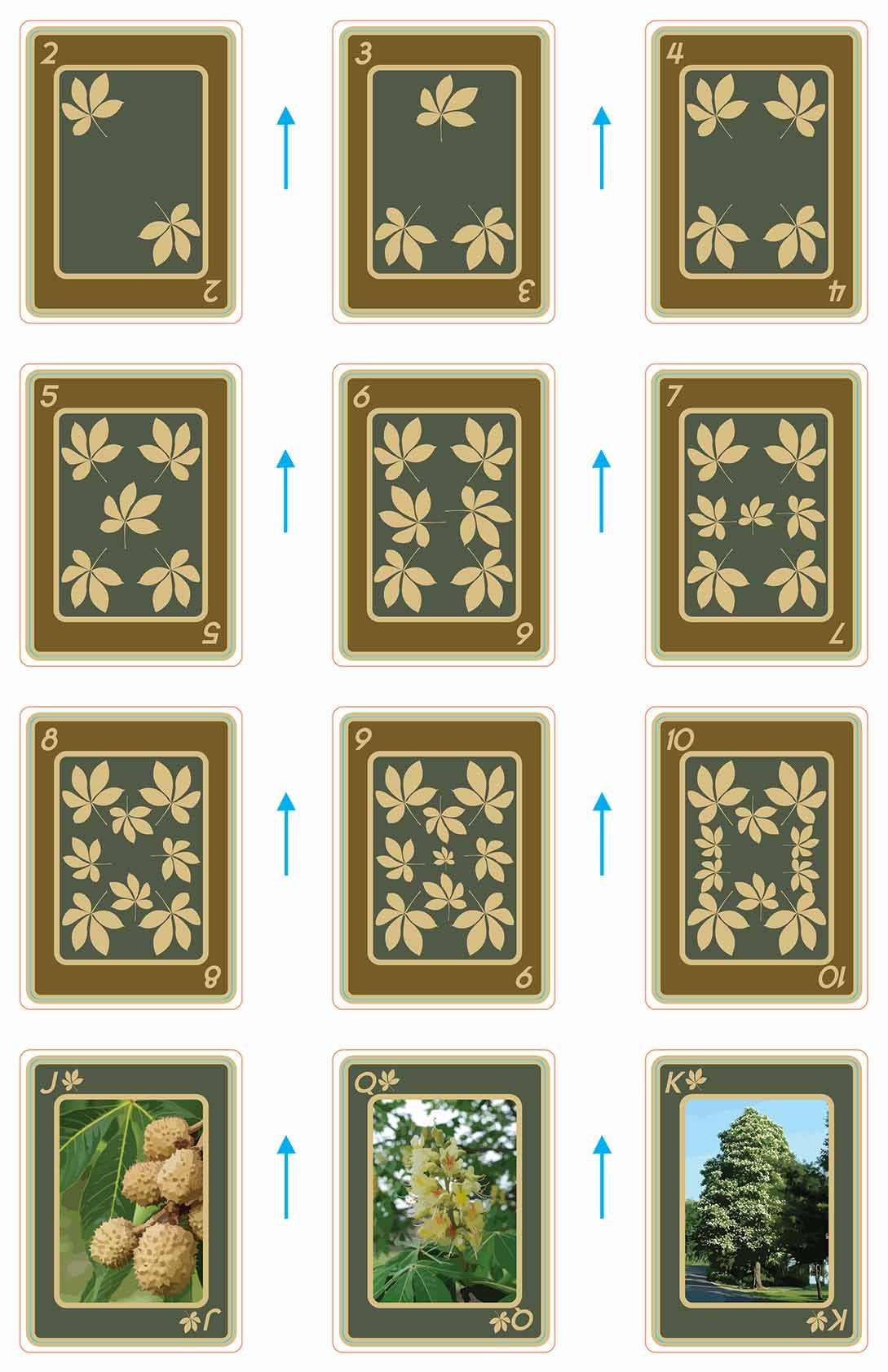 playingcards_Ohio Buckeye.jpg