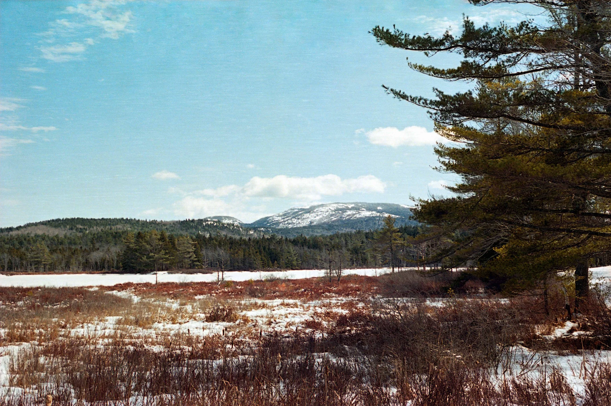 img145.jpg