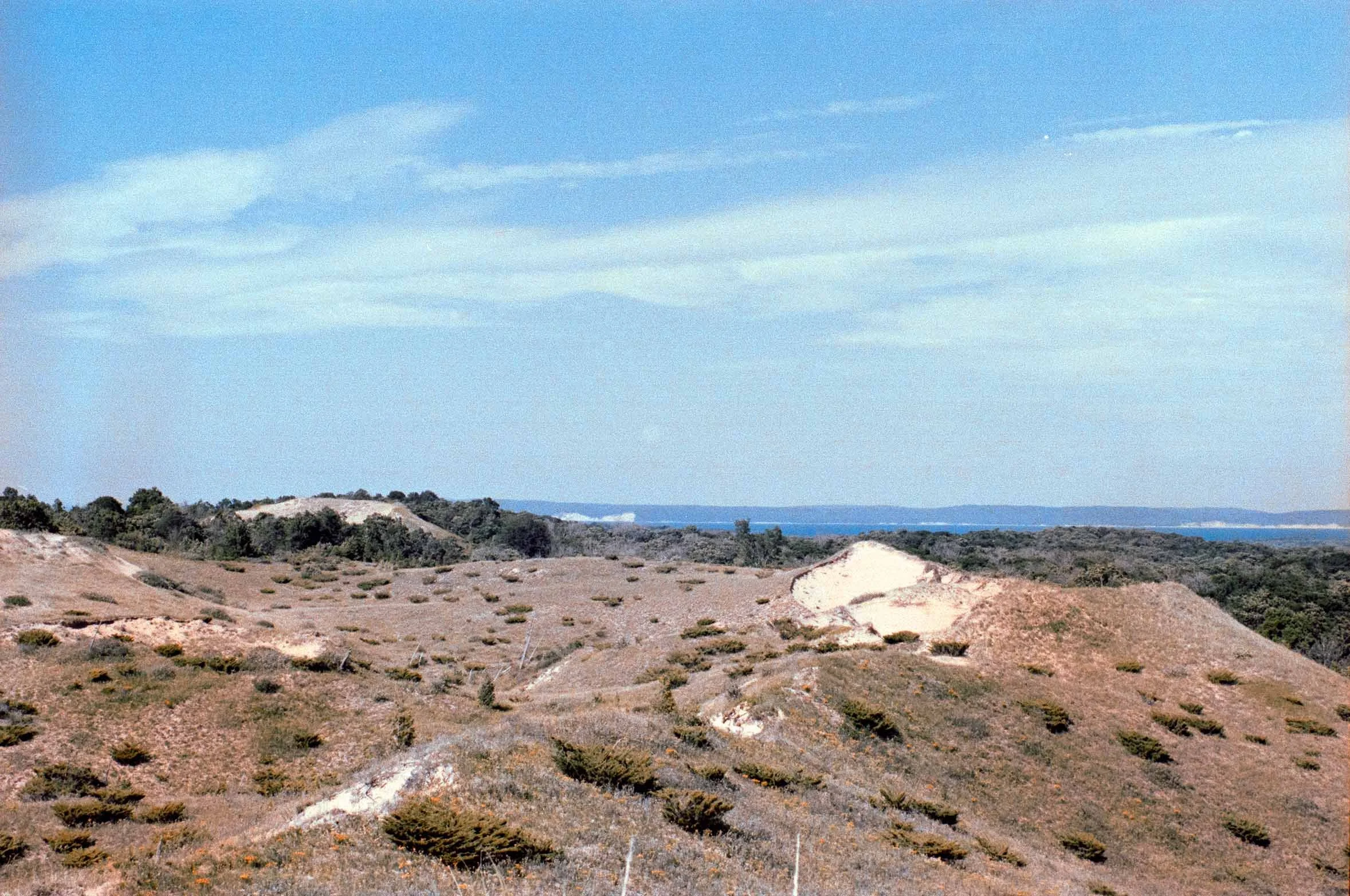 DSC04705.jpg