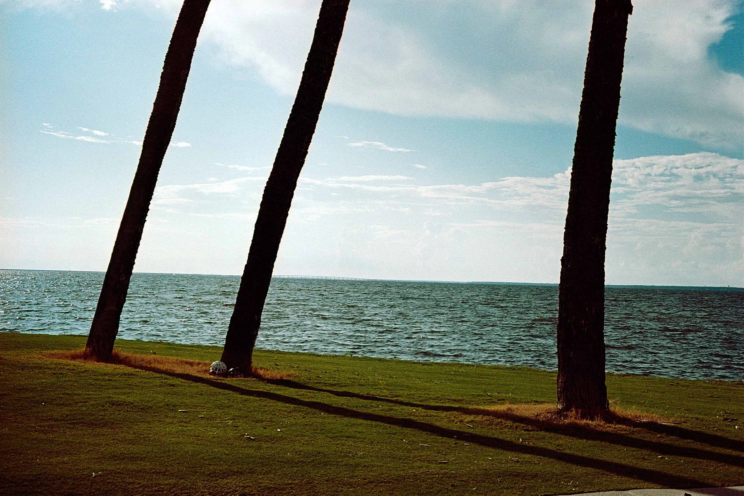 img041.jpg