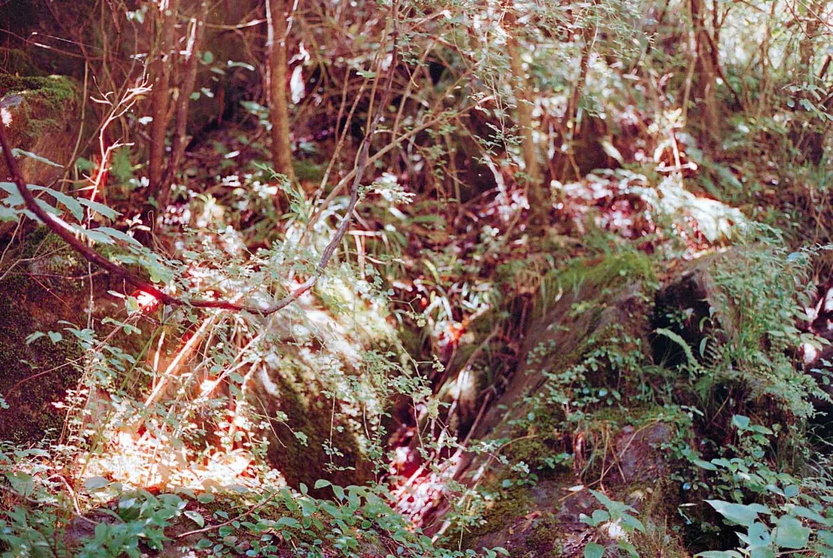 img452.jpg