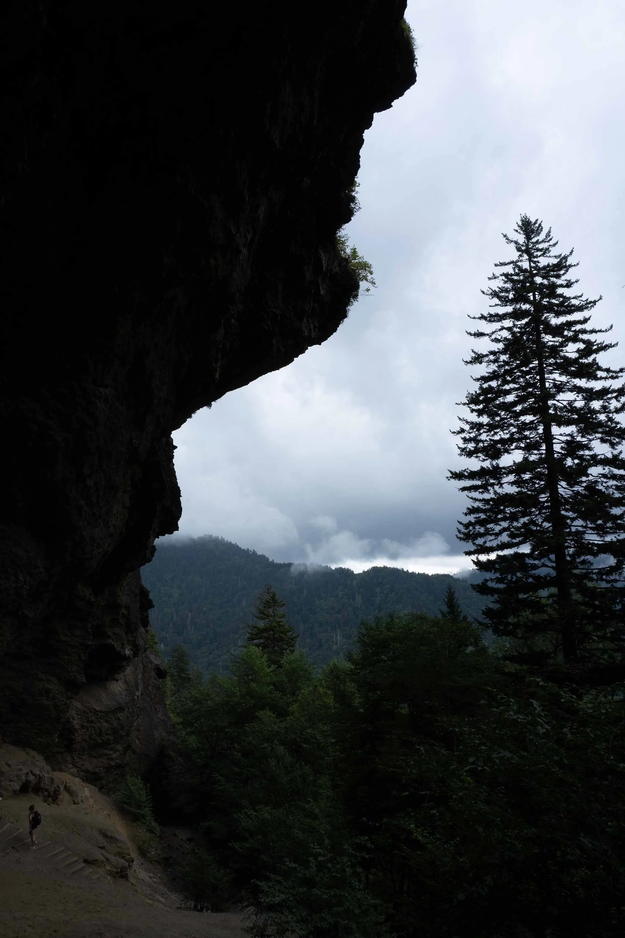 DSC04899.jpg