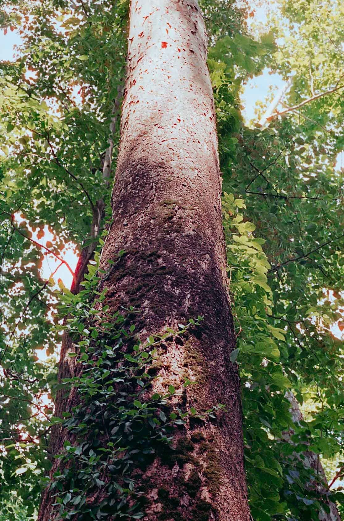 img419.jpg