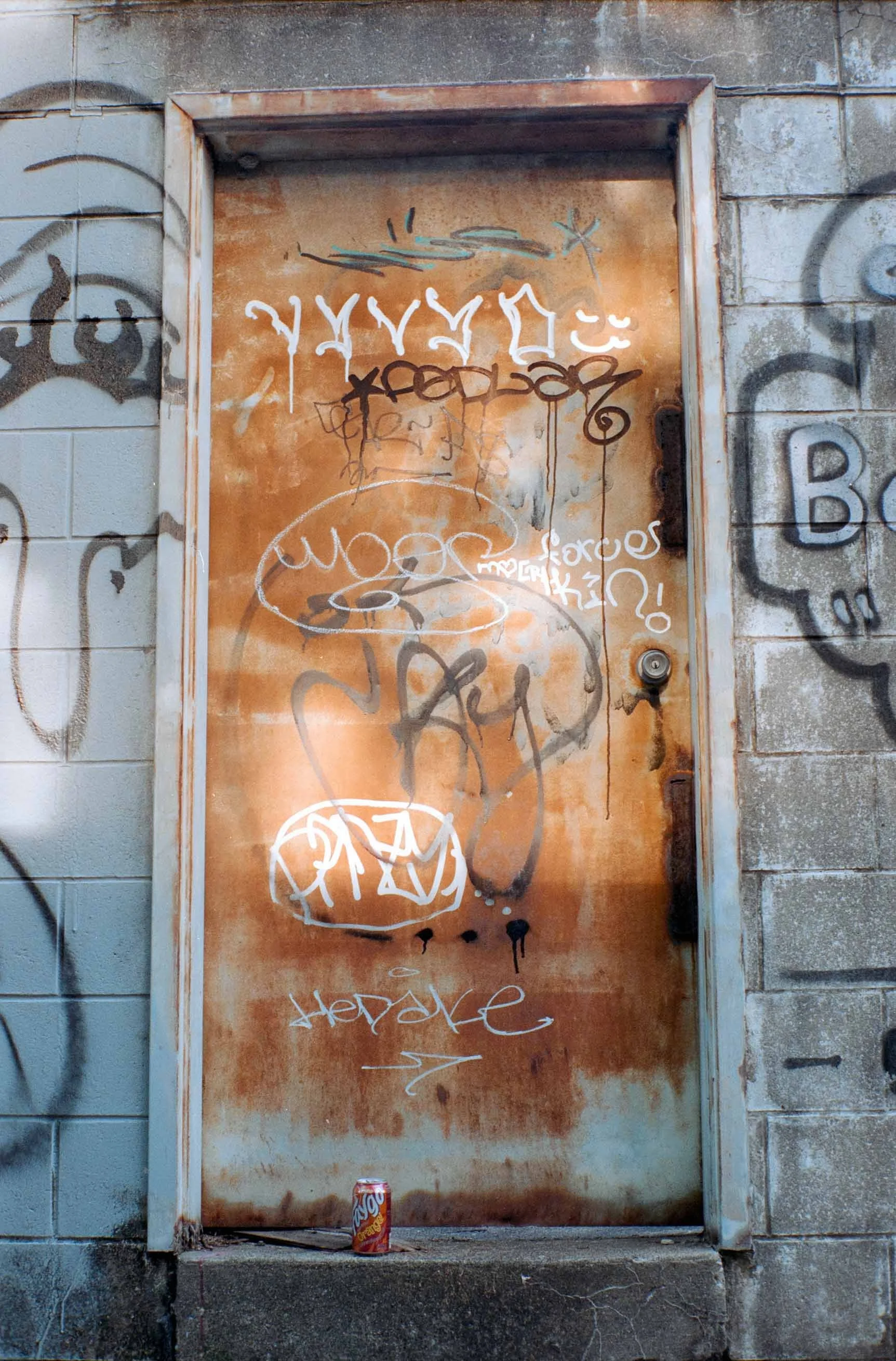DSC02470.jpg