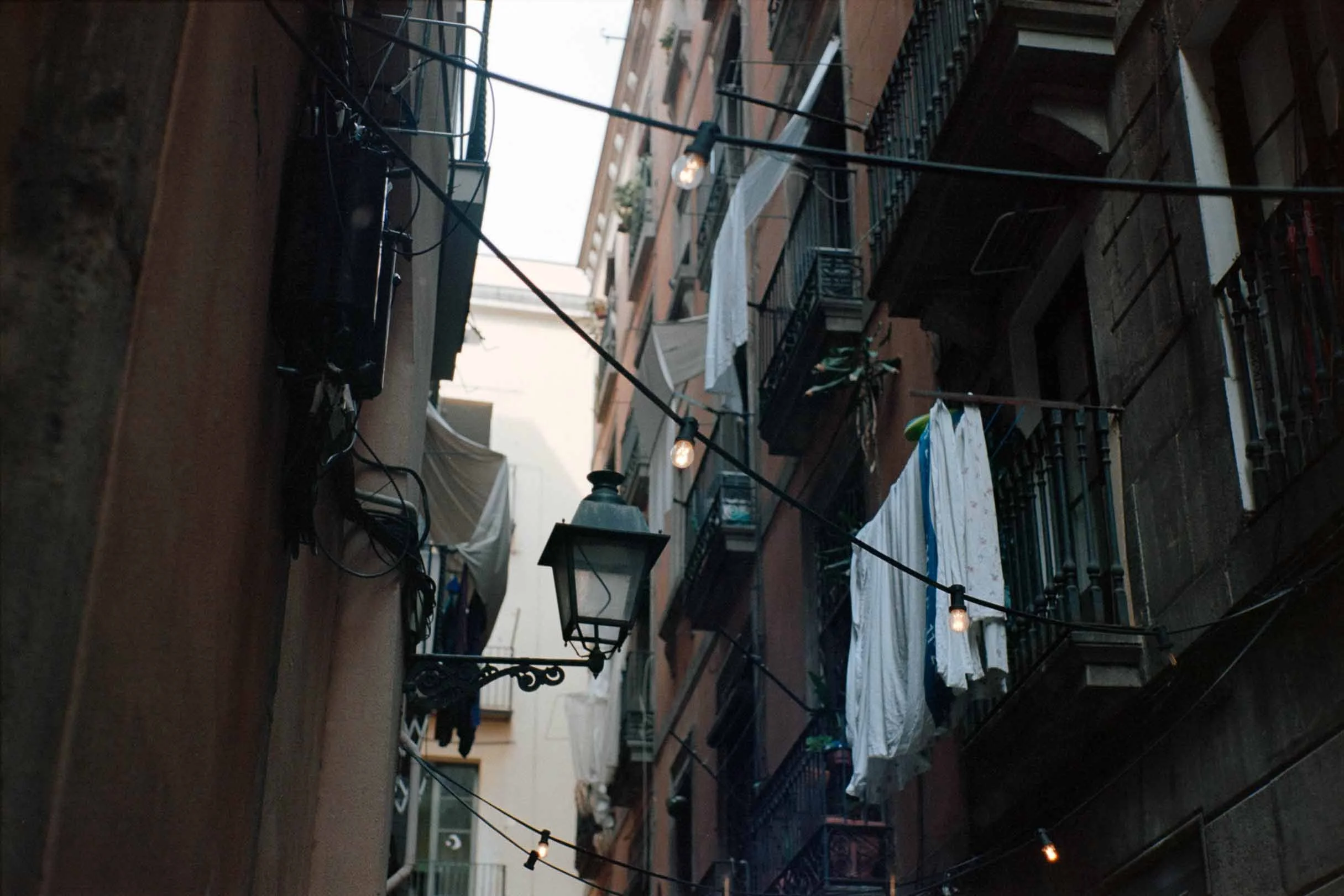 DSC02797.jpg