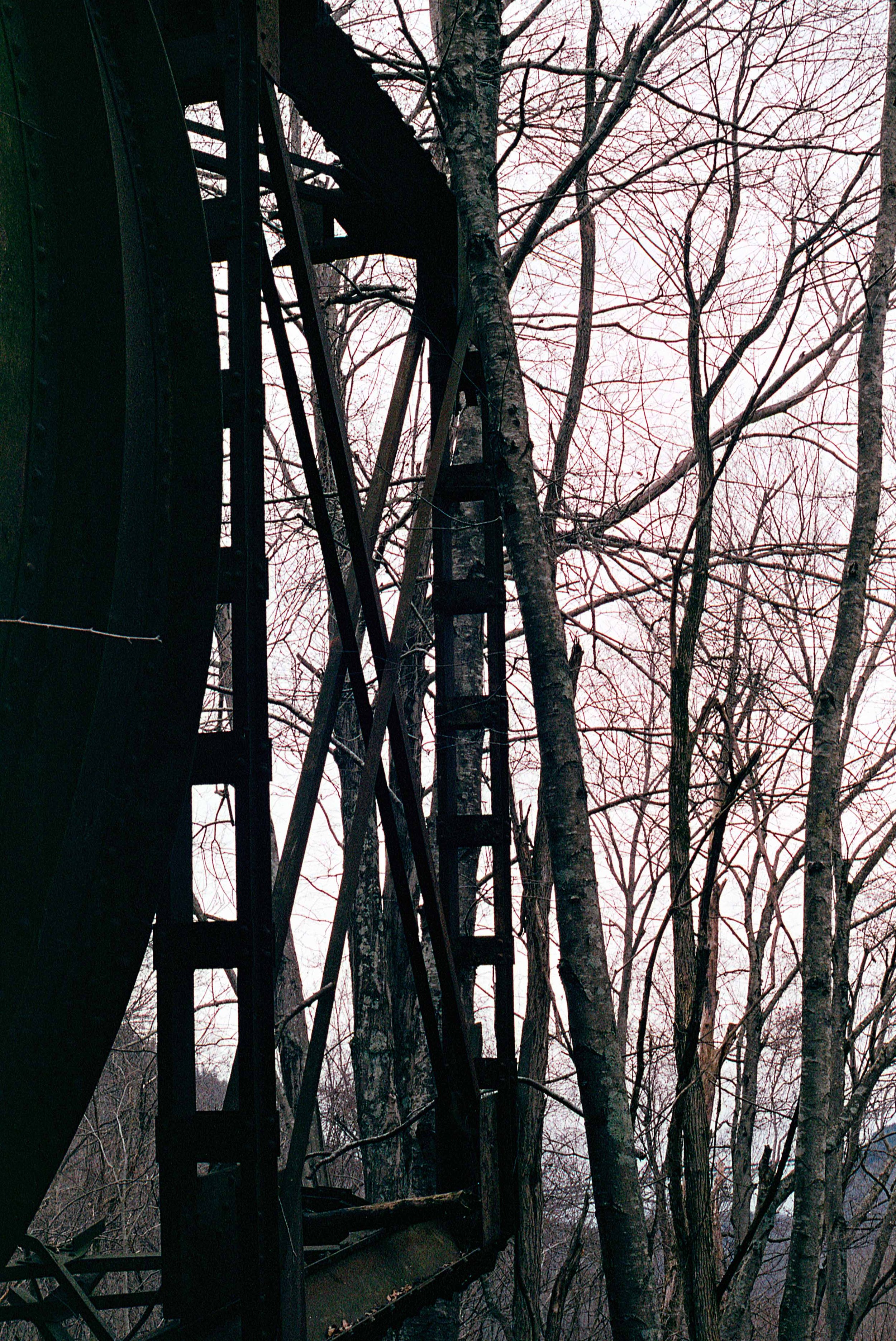 img113.jpg