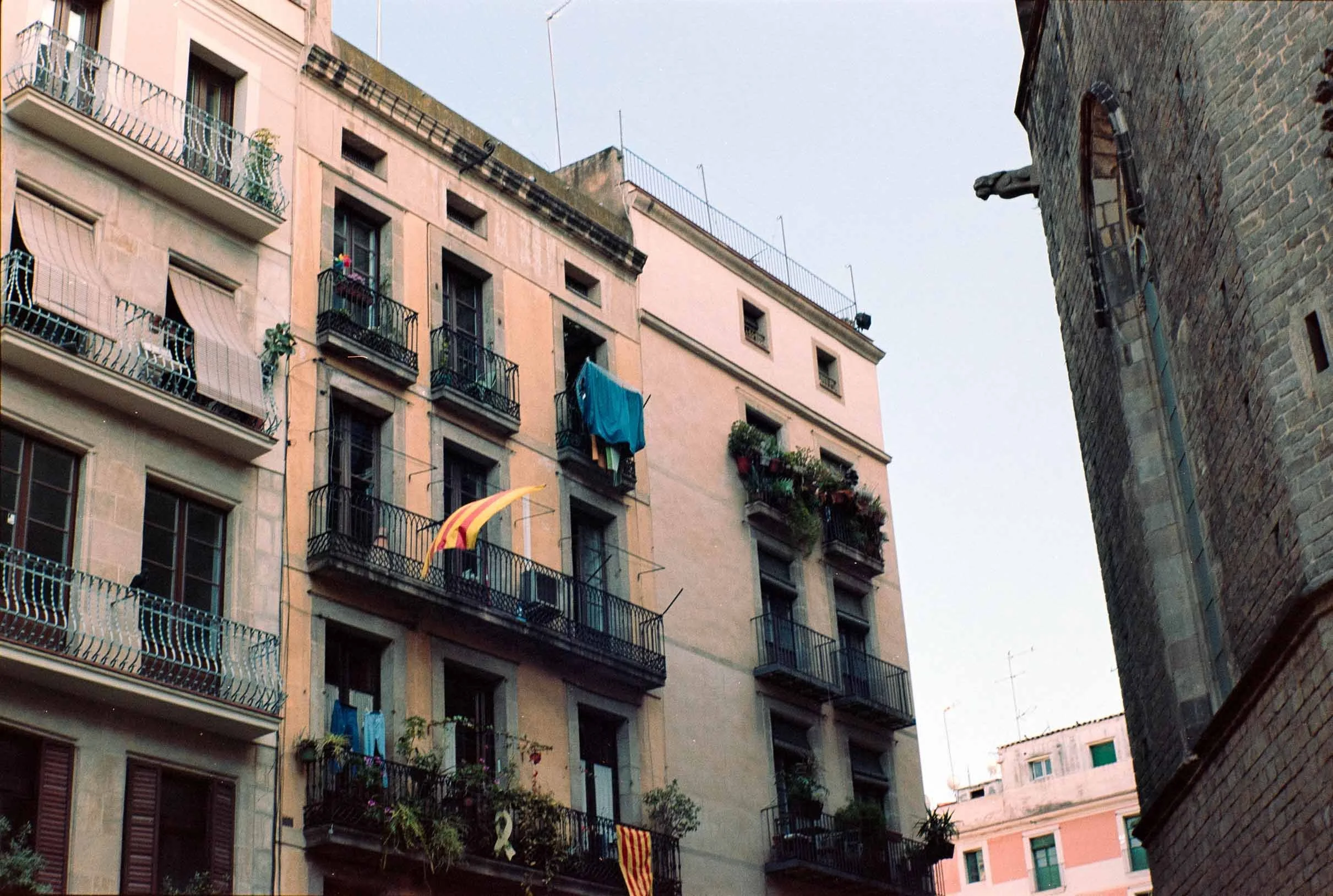 DSC02775.jpg