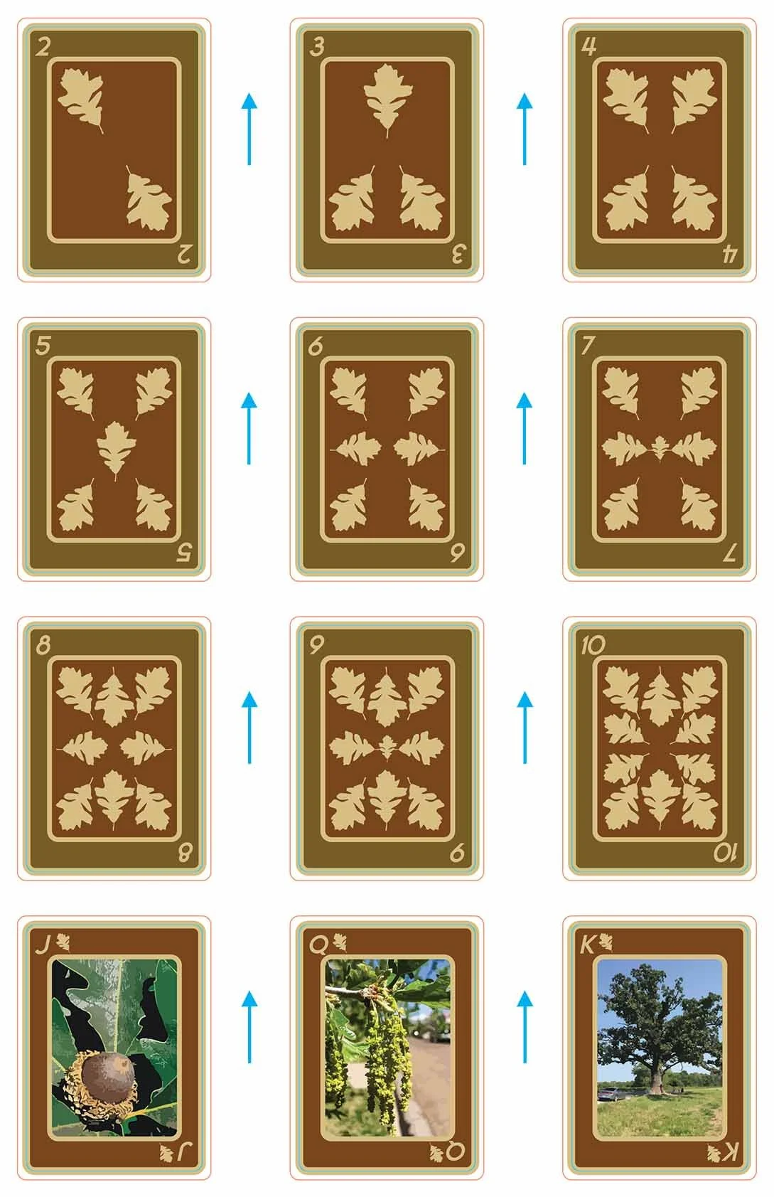 playingcards_Burr Oak.jpg
