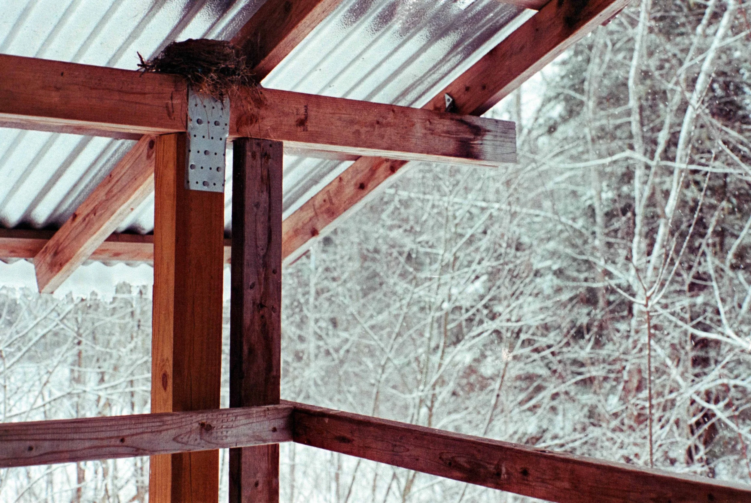 cabin 3.jpg