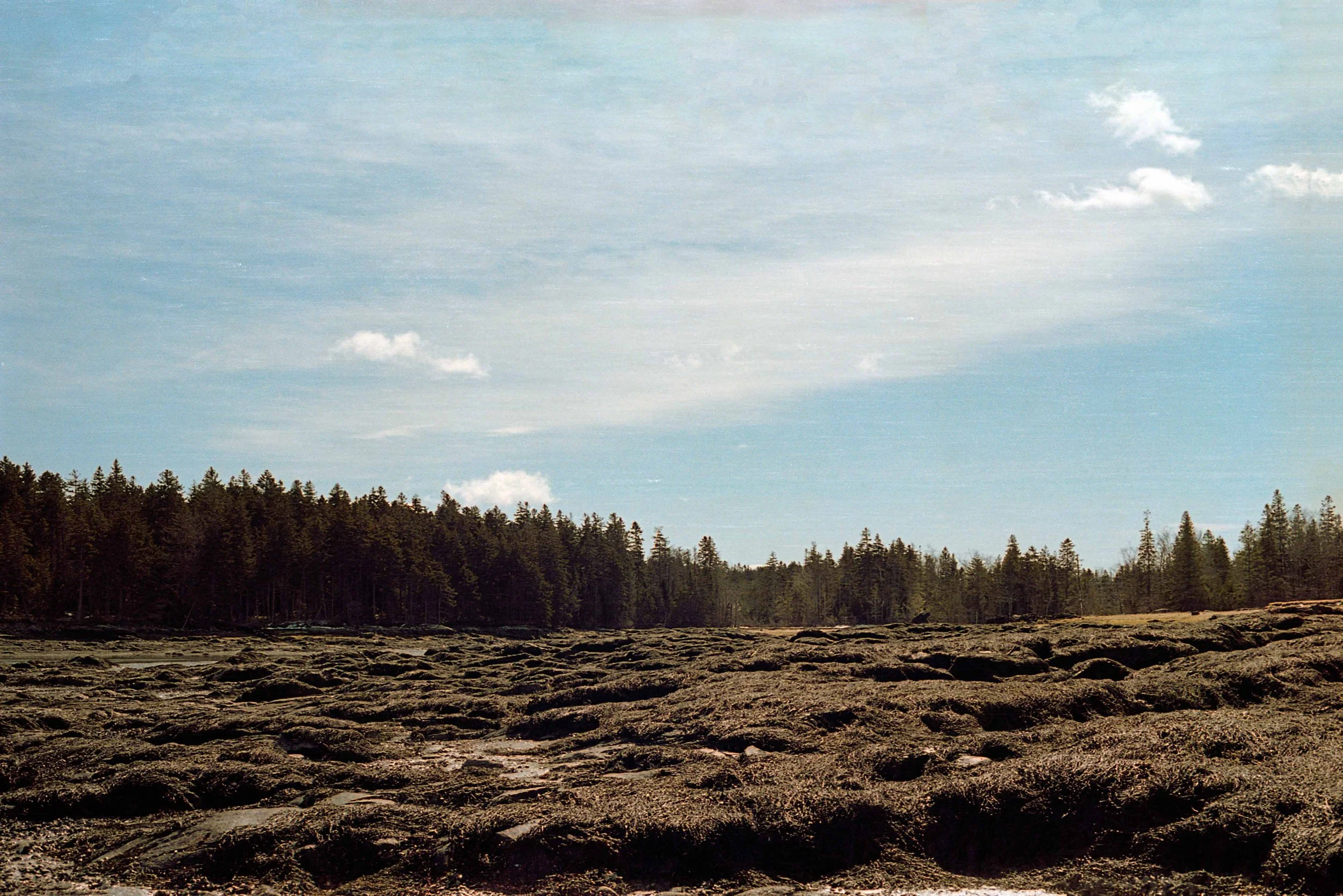 img144.jpg