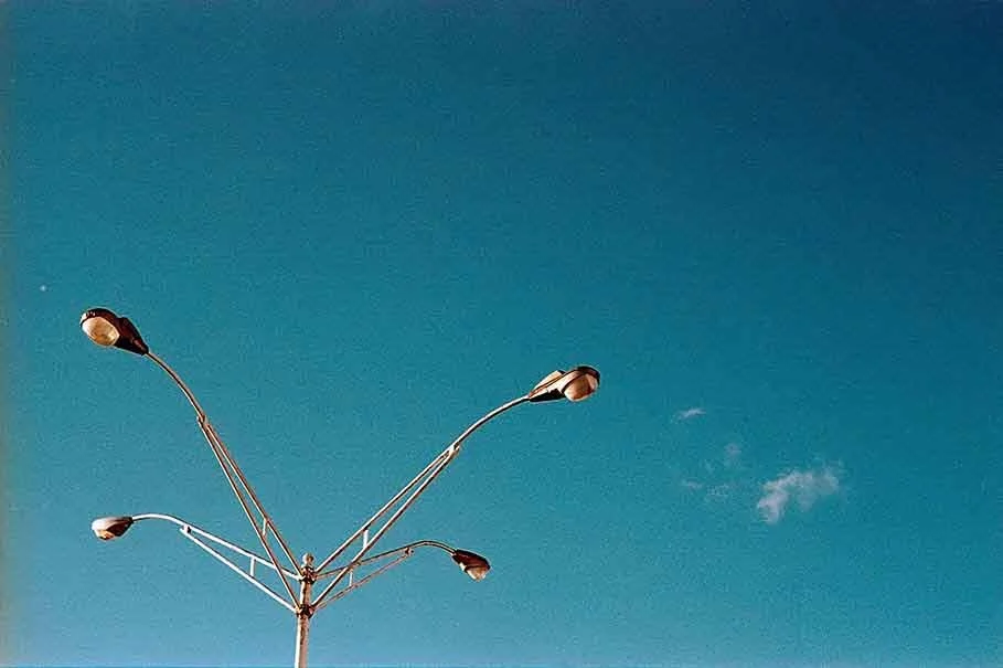 D01-2.jpg