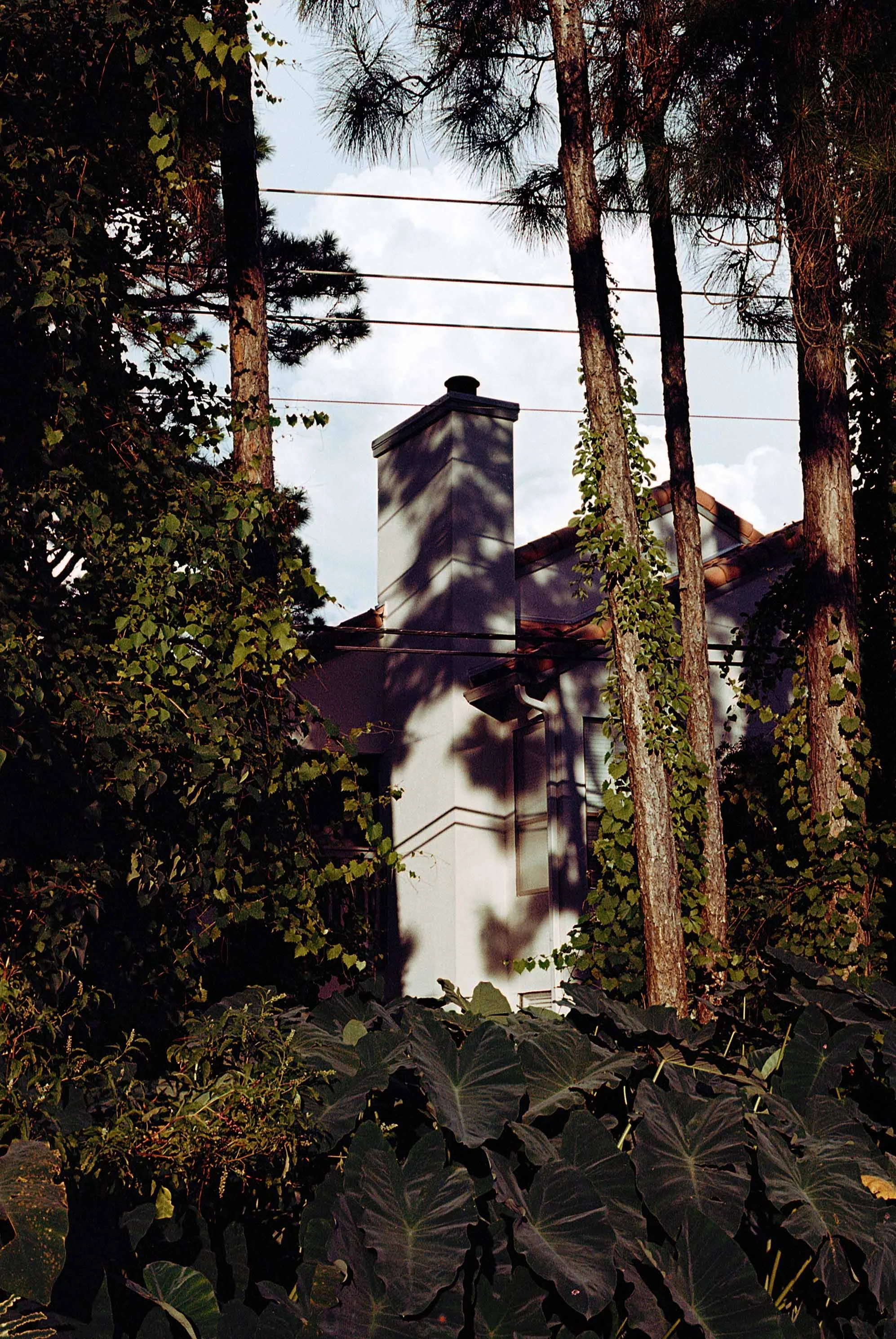 img050.jpg