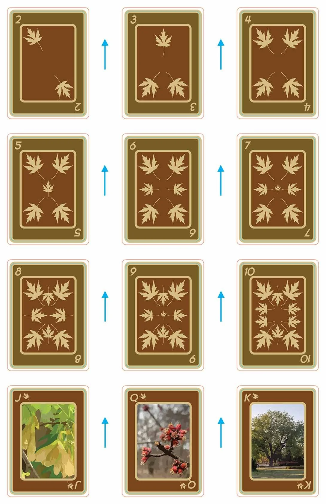 playingcards_Silver Maple.jpg