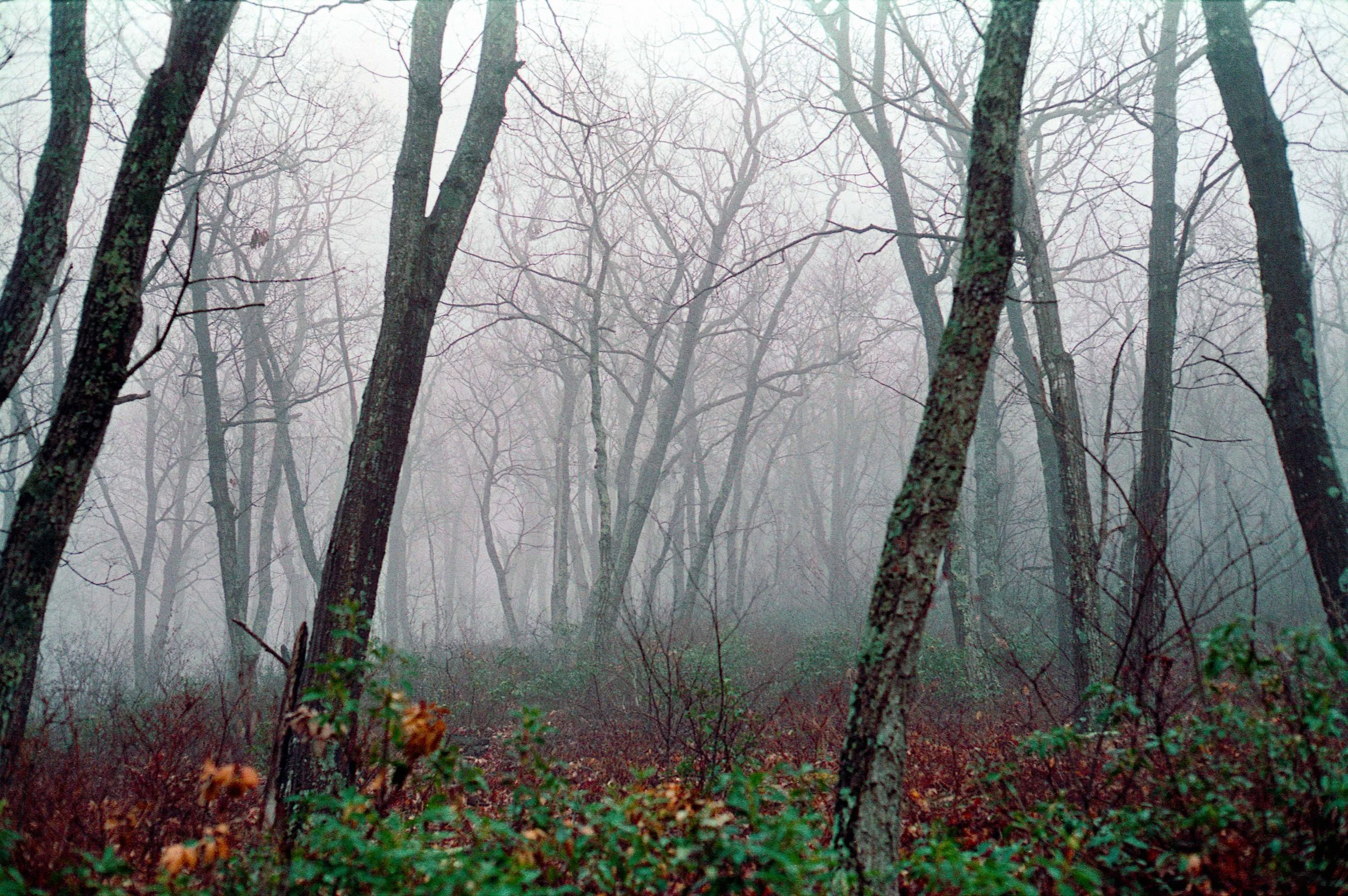 img083.jpg