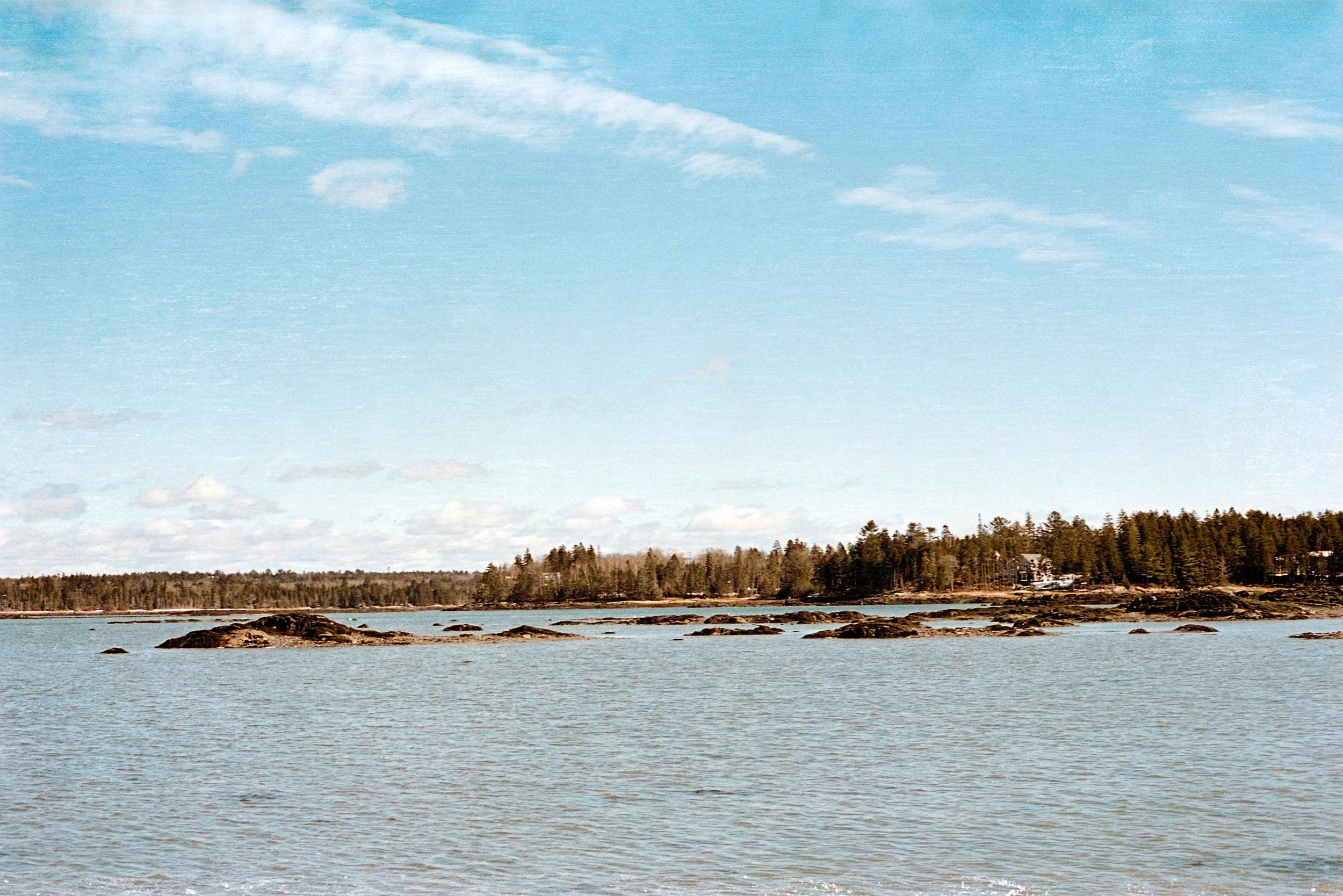img146.jpg