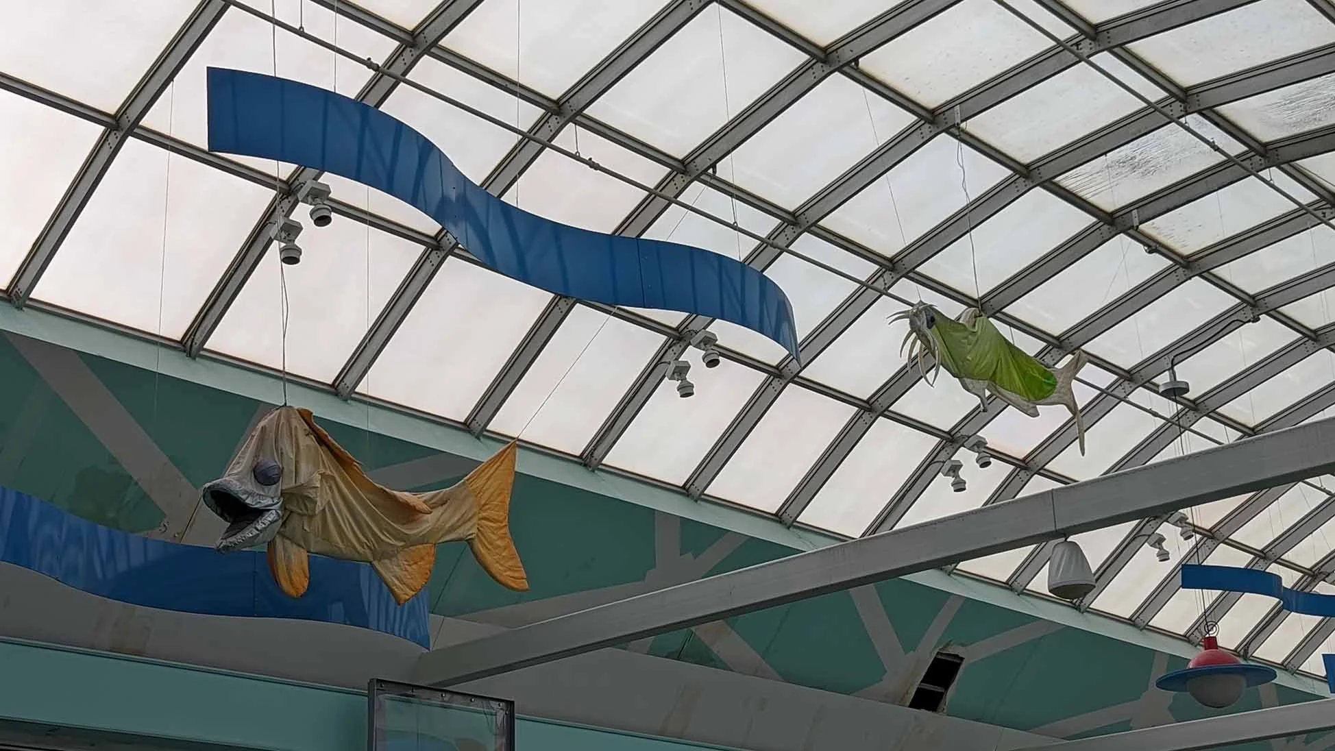 PXL_20220113_191355037.jpg