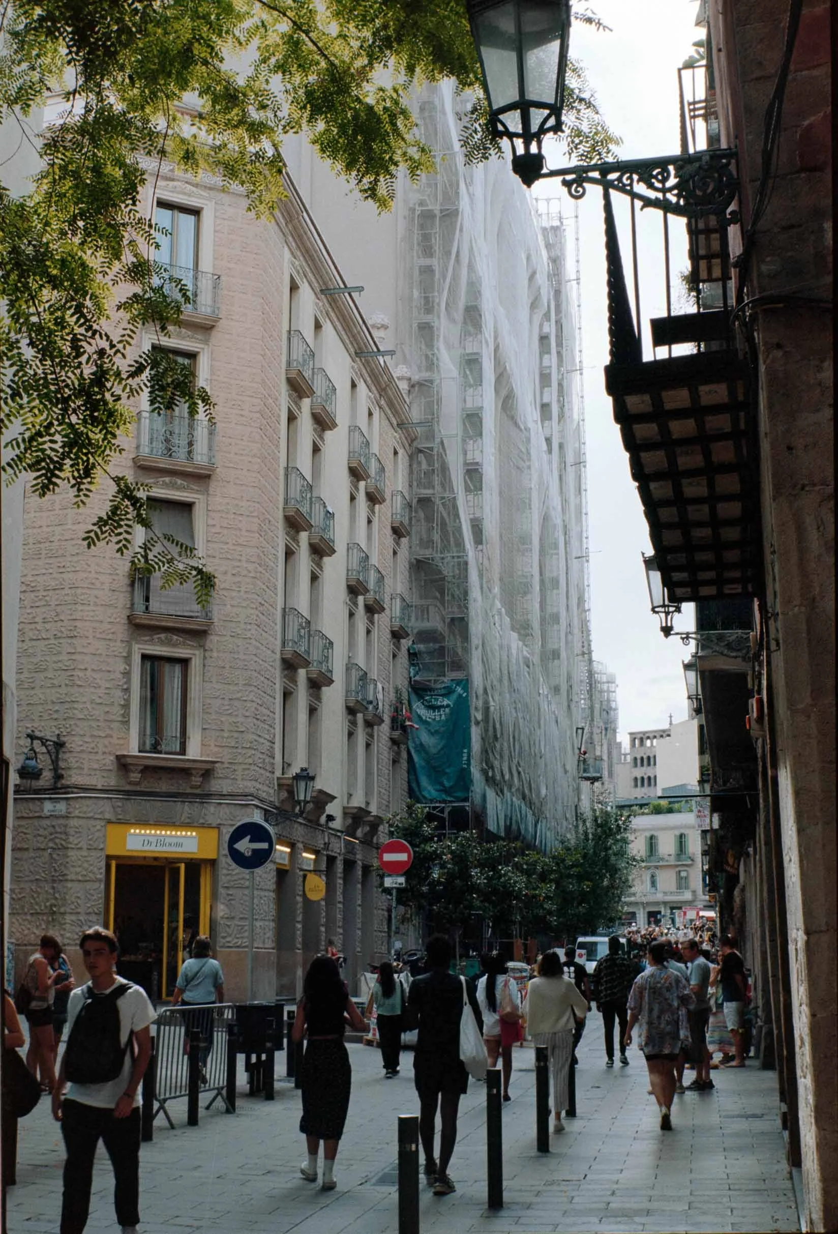 DSC02801.jpg