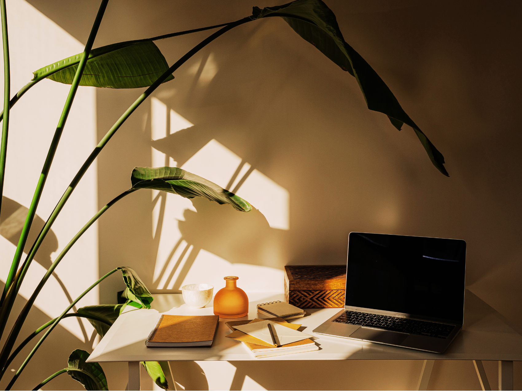 5 Marketing Tips for NJ Nonprofits on a Budget