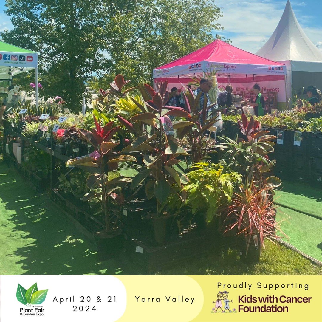 🌸 Garden Express will be back again at this year&rsquo;s showcasing Yarra Valley Plant Fair &amp; Garden Expo April 20 &amp; 21! Get some amazing bargains on Spring Flowering Bulbs, Wollemi Pine and so much more 🌸 Join us for a weekend of green ins