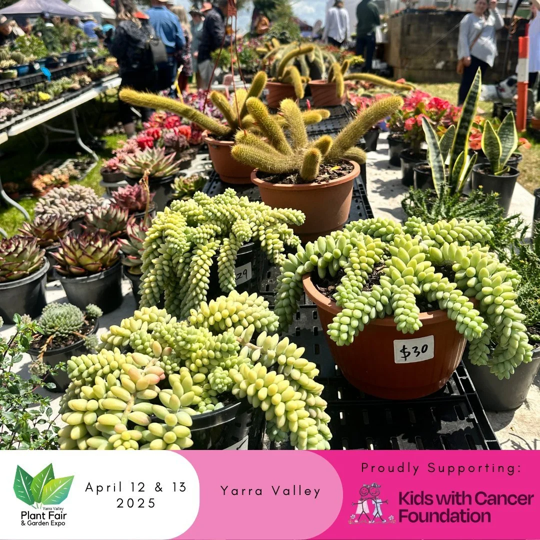 🌸 The Wait is Over! It&rsquo;s Time to Explore the Plant Fair! 🌸
We&rsquo;re so excited to welcome you to the Yarra Valley Autumn Plant Fair &amp; Garden Expo today! There&rsquo;s something for every gardener, plant collector, and nature lover to e