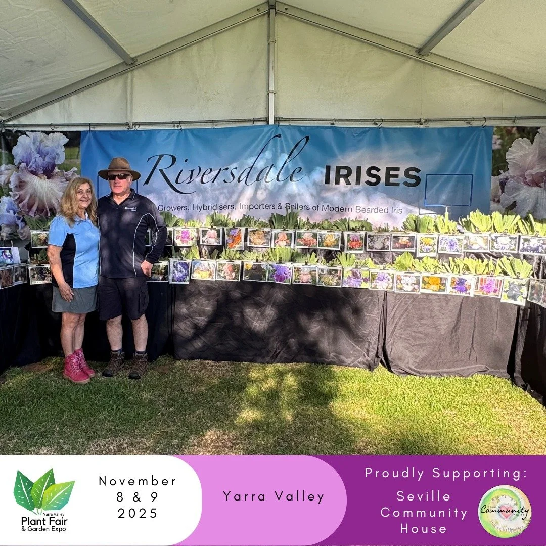 🌸 Spring is Blooming at Riversdale Irises! 🌸

Tim &amp; Maria from Riversdale Irises @riversdaleirises are bringing a stunning selection of bearded irises to the Yarra Valley Plant Fair! From classic favourites to rare and new-to-Australia varietie