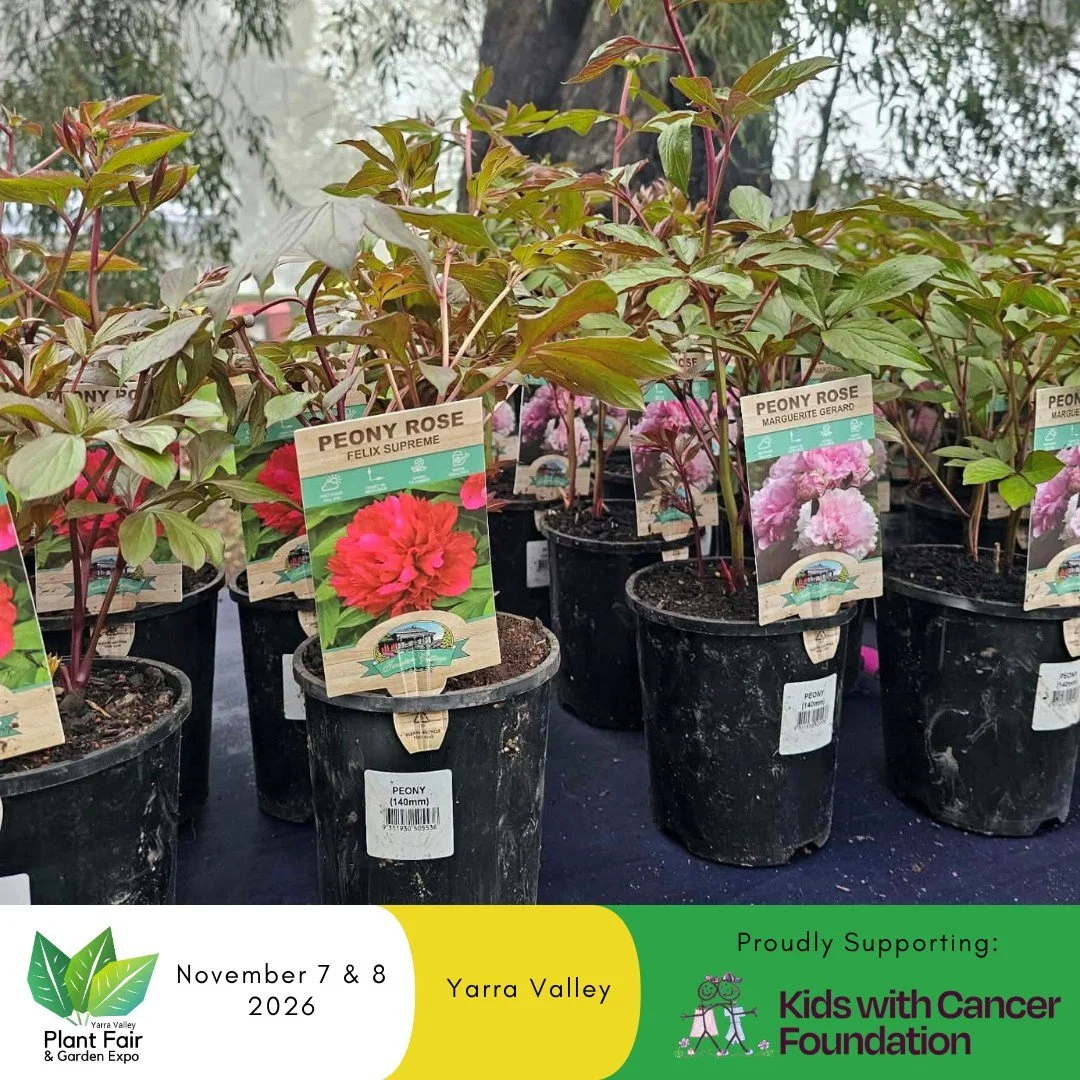 💥 FANTASTIC PLANT FAIR BARGAINS WITH GARDEN EXPRESS! 🌸🌿

Looking for a garden bargain? You won&rsquo;t want to miss the fantastic deals from Garden Express at the Yarra Valley Spring Plant Fair &amp; Garden Expo!

🌺 Dahlia 5 Pack - Just $27!
🌼 G