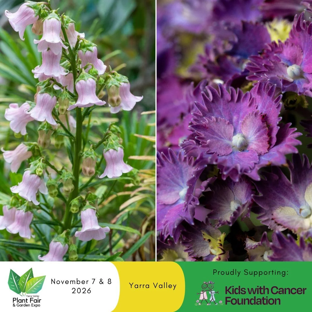 Find Something Special at Barambah Rare Plants! 🌿

Love discovering unusual plants to add a little something special to your garden? Make sure you visit Barambah Rare Plants at the Yarra Valley Spring Plant Fair &amp; Garden Expo!

Jan is a passiona