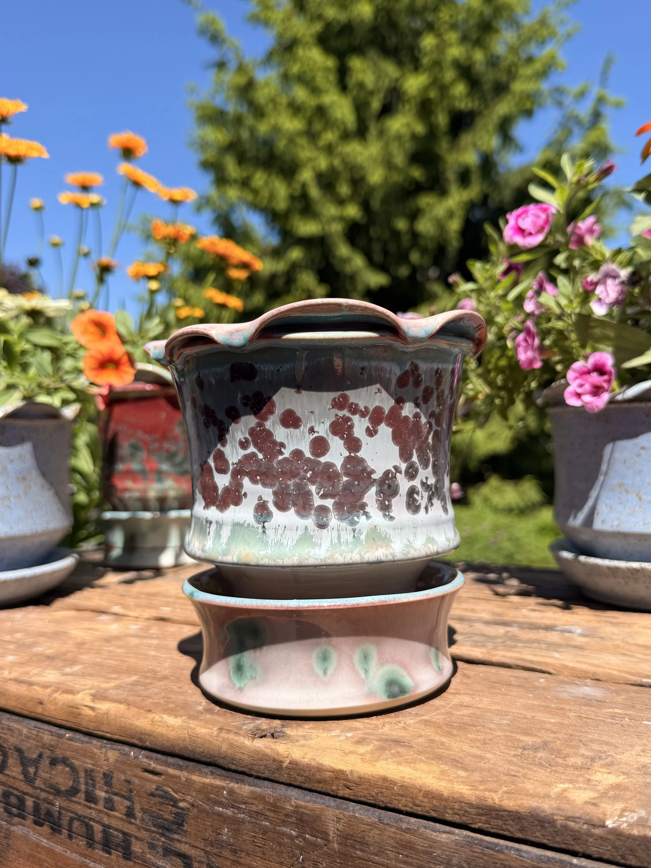 Turquoise + Pink Planter | Crystalline + Luster