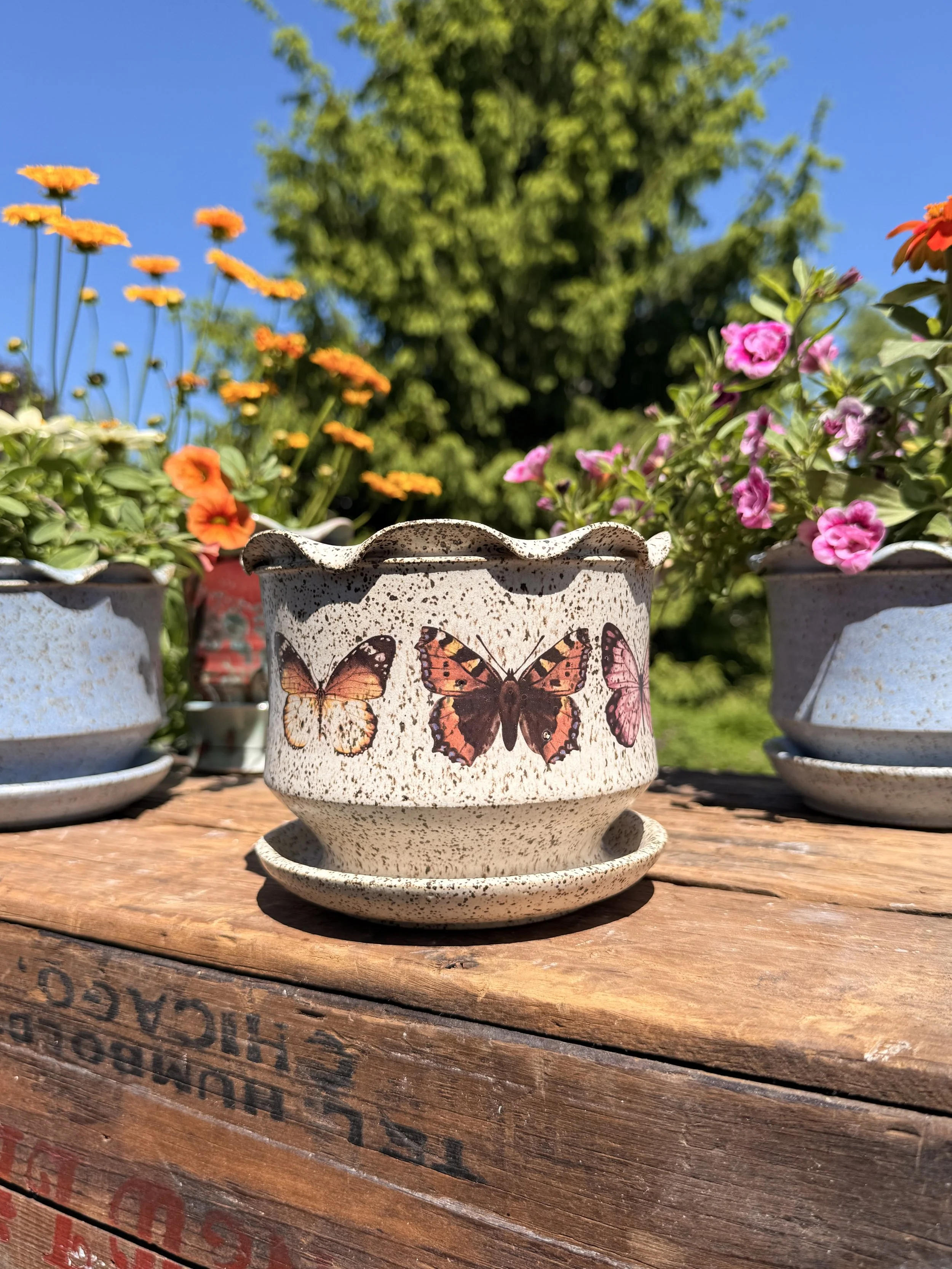 Warm Butterfly Planter | Alabaster
