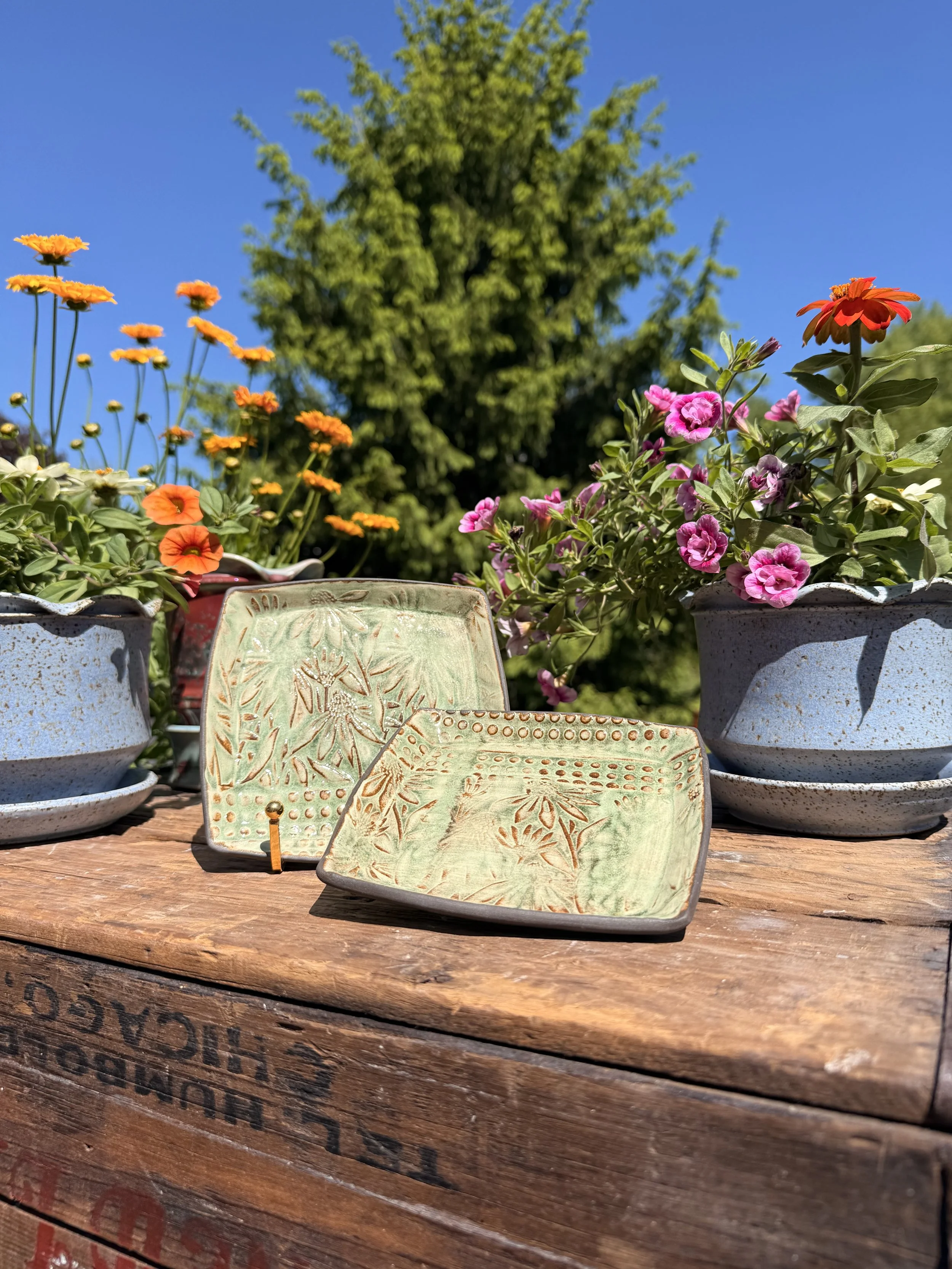 Hand-Built Coneflower + Polka Dot Plate