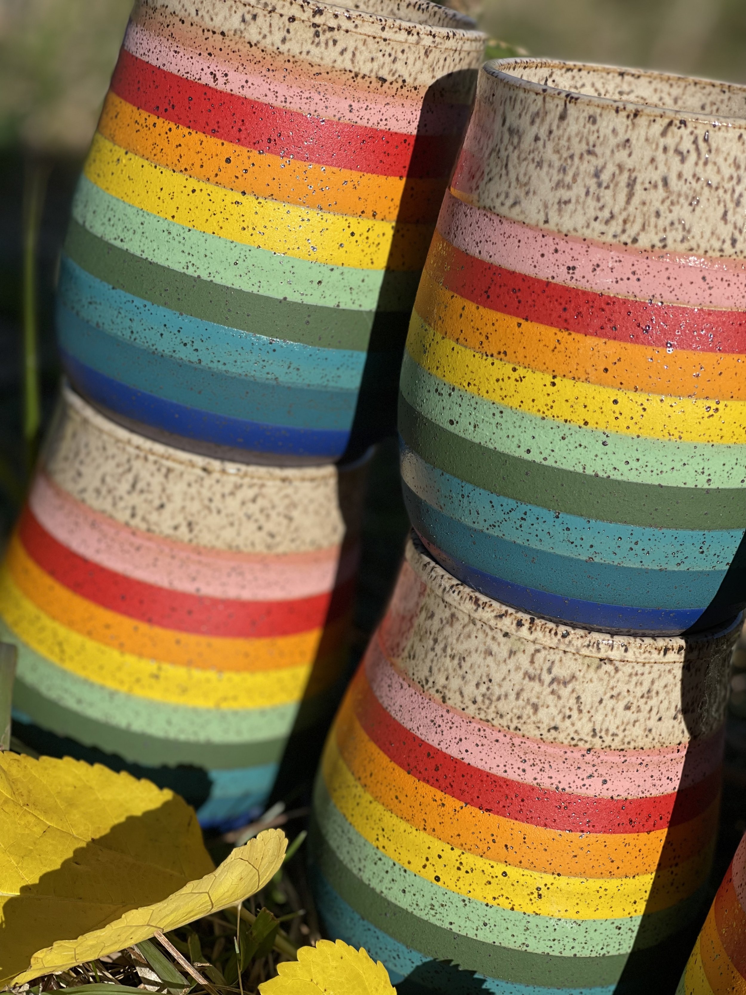 The Rainbow Project | 250 Messages of Love