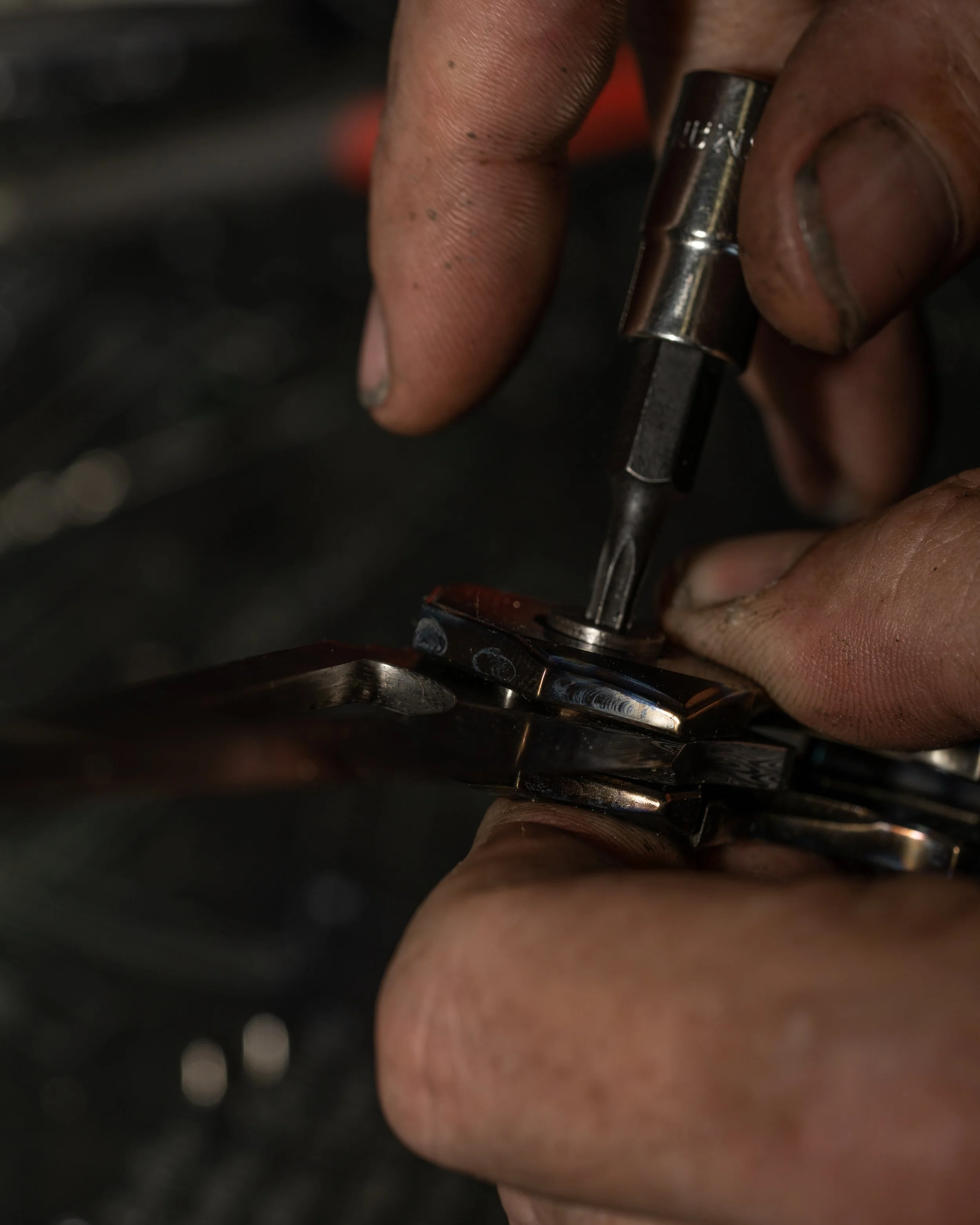 DSC00207 - LRR-249.jpg