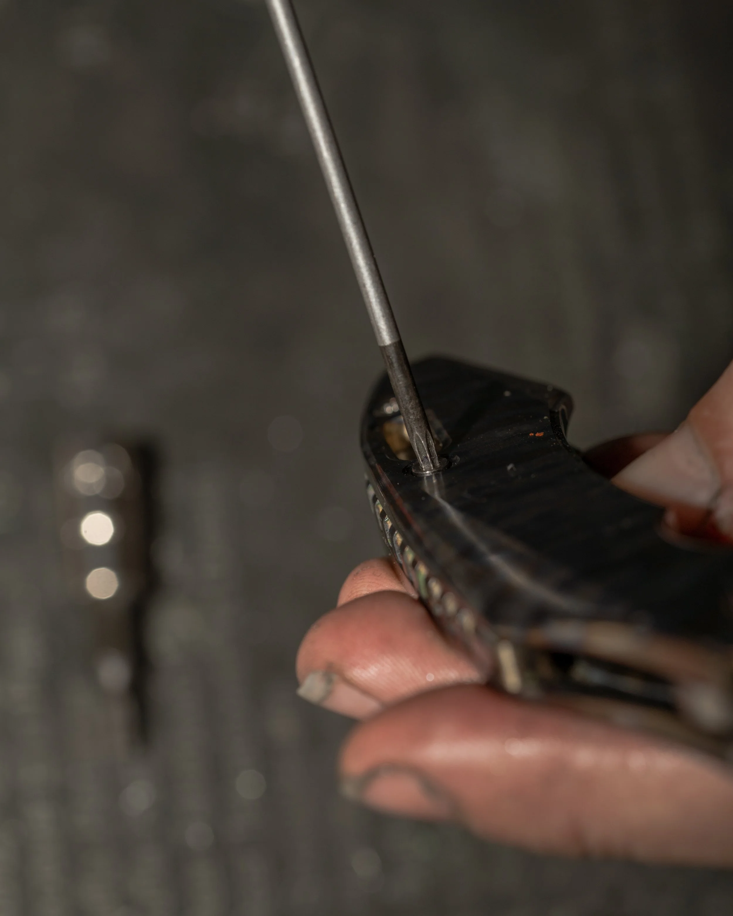 DSC00207 - LRR-250.jpg