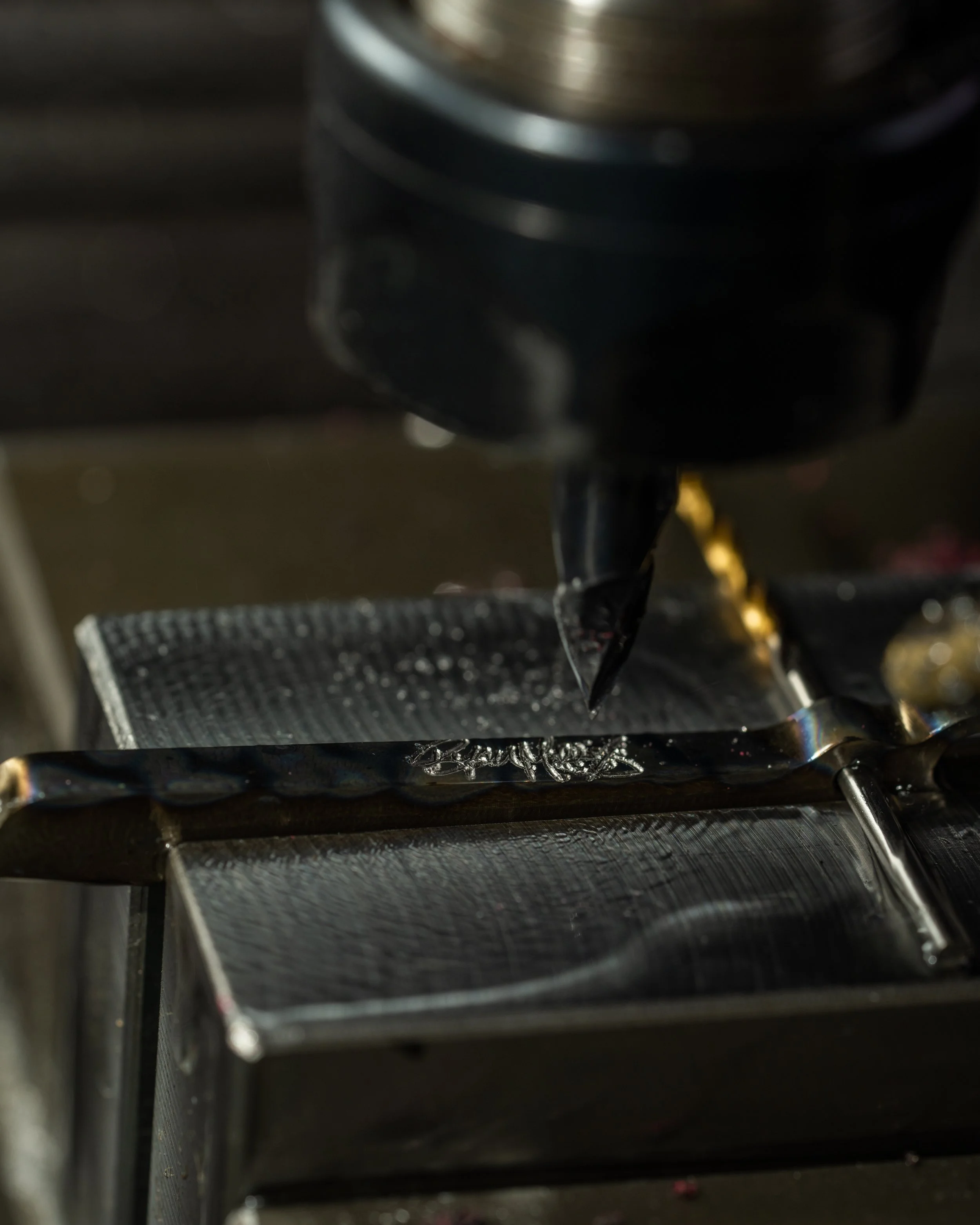 DSC00207 - LRR-262.jpg