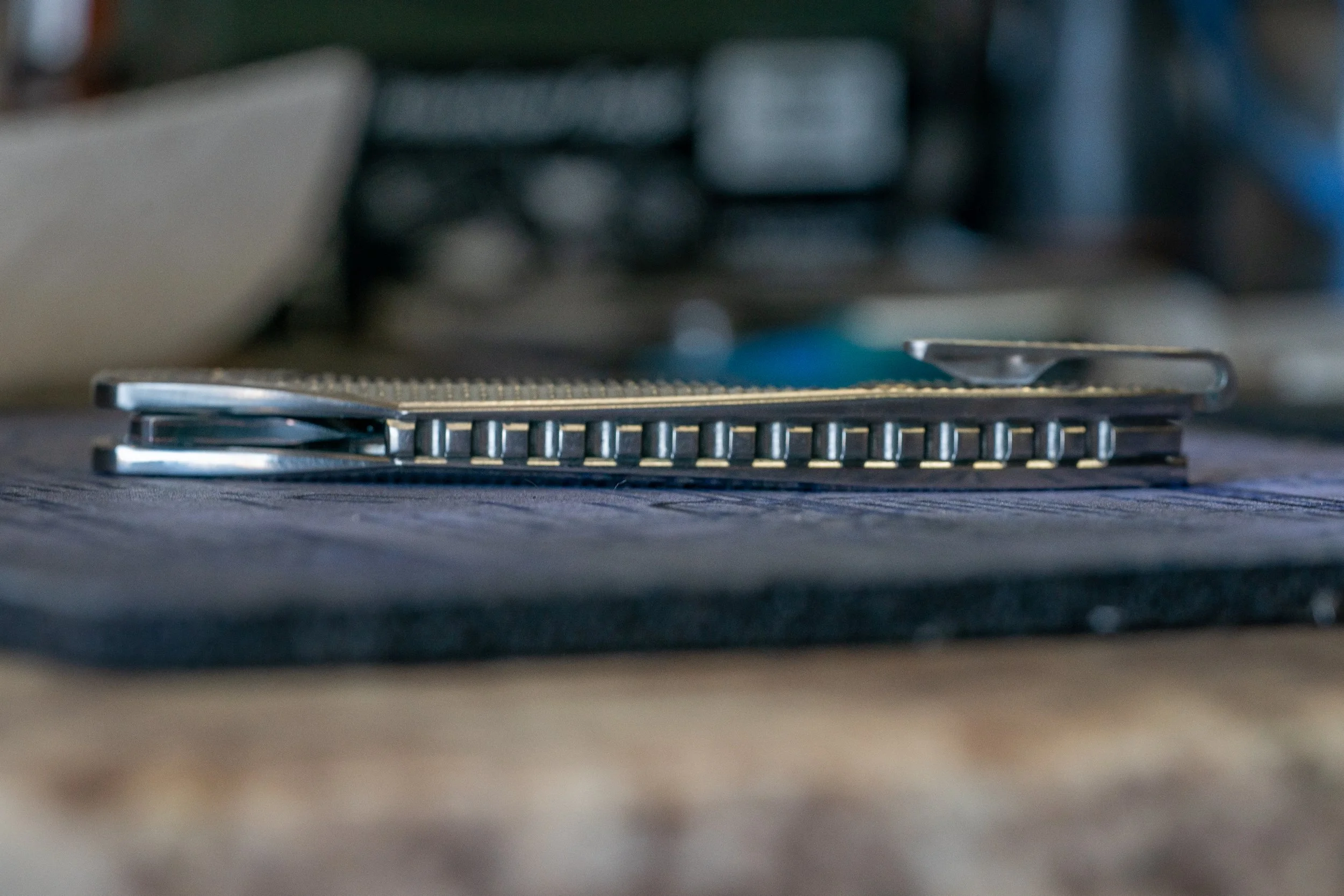 DSC00207 - LRR-251.jpg