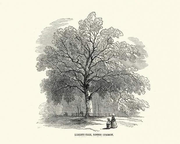 Liberty Tree Event
