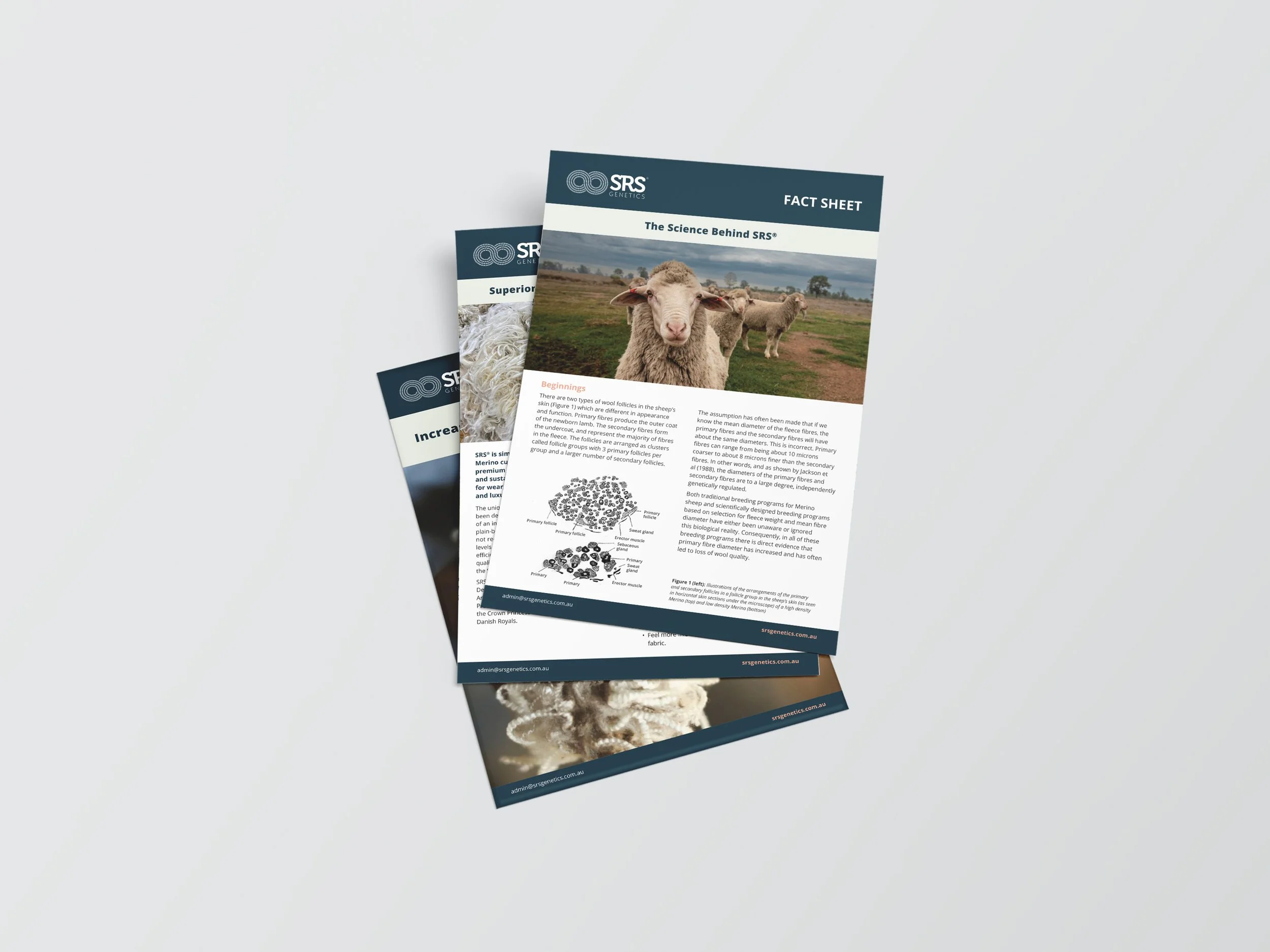 SRS Genetics Fact Sheets