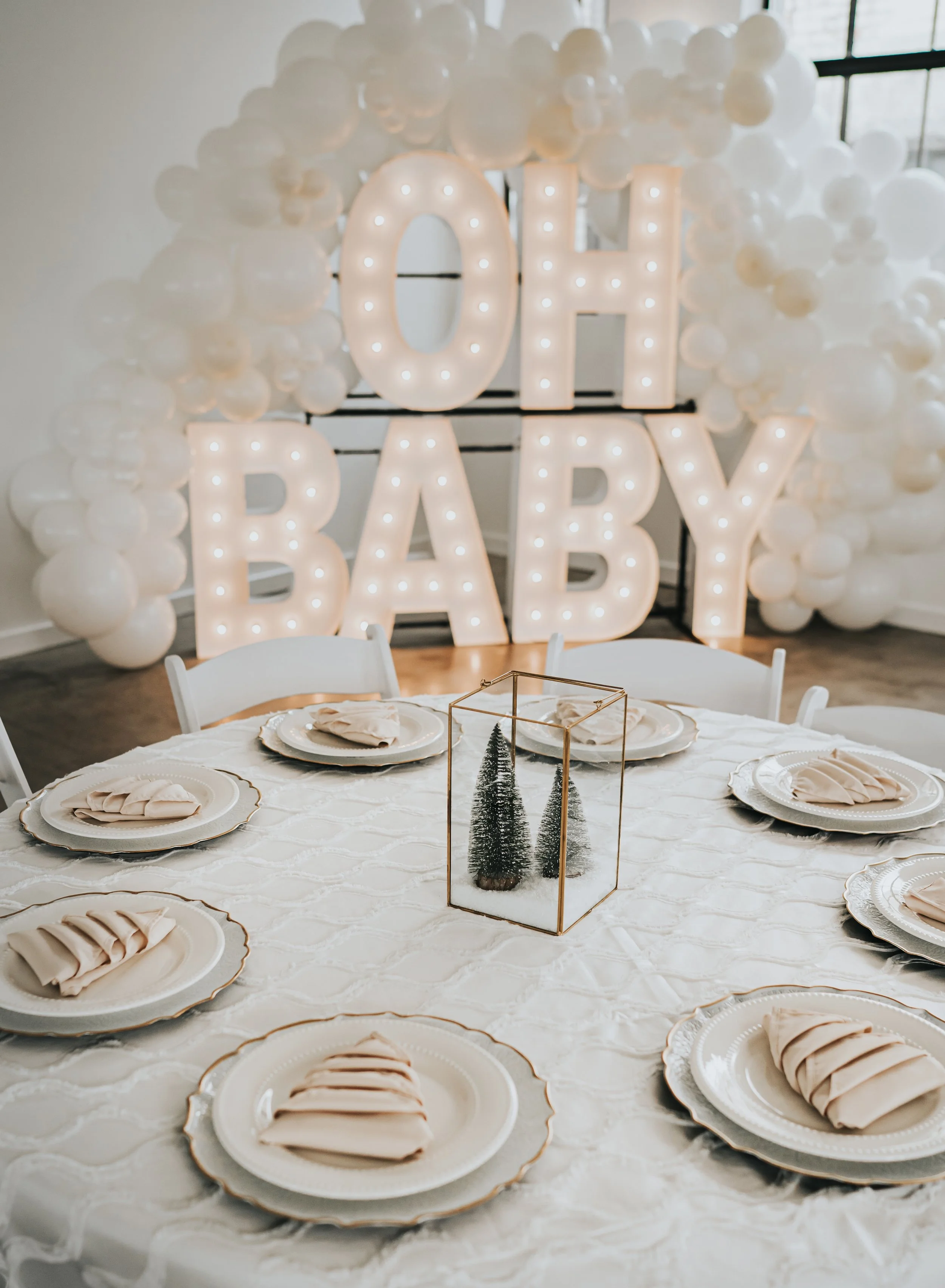 Baby It’s Cold Outside Kansas City Baby Shower — designwise kc